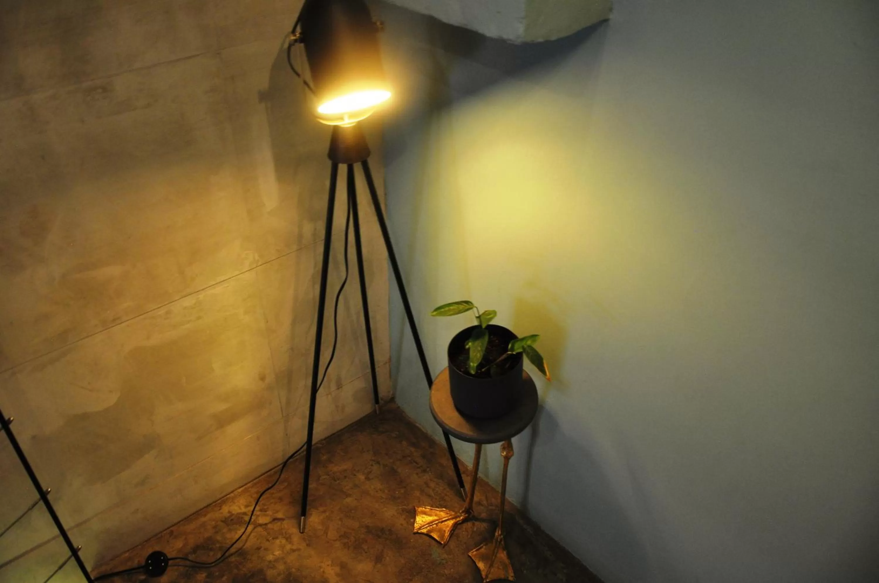 Lobby or reception in Canova