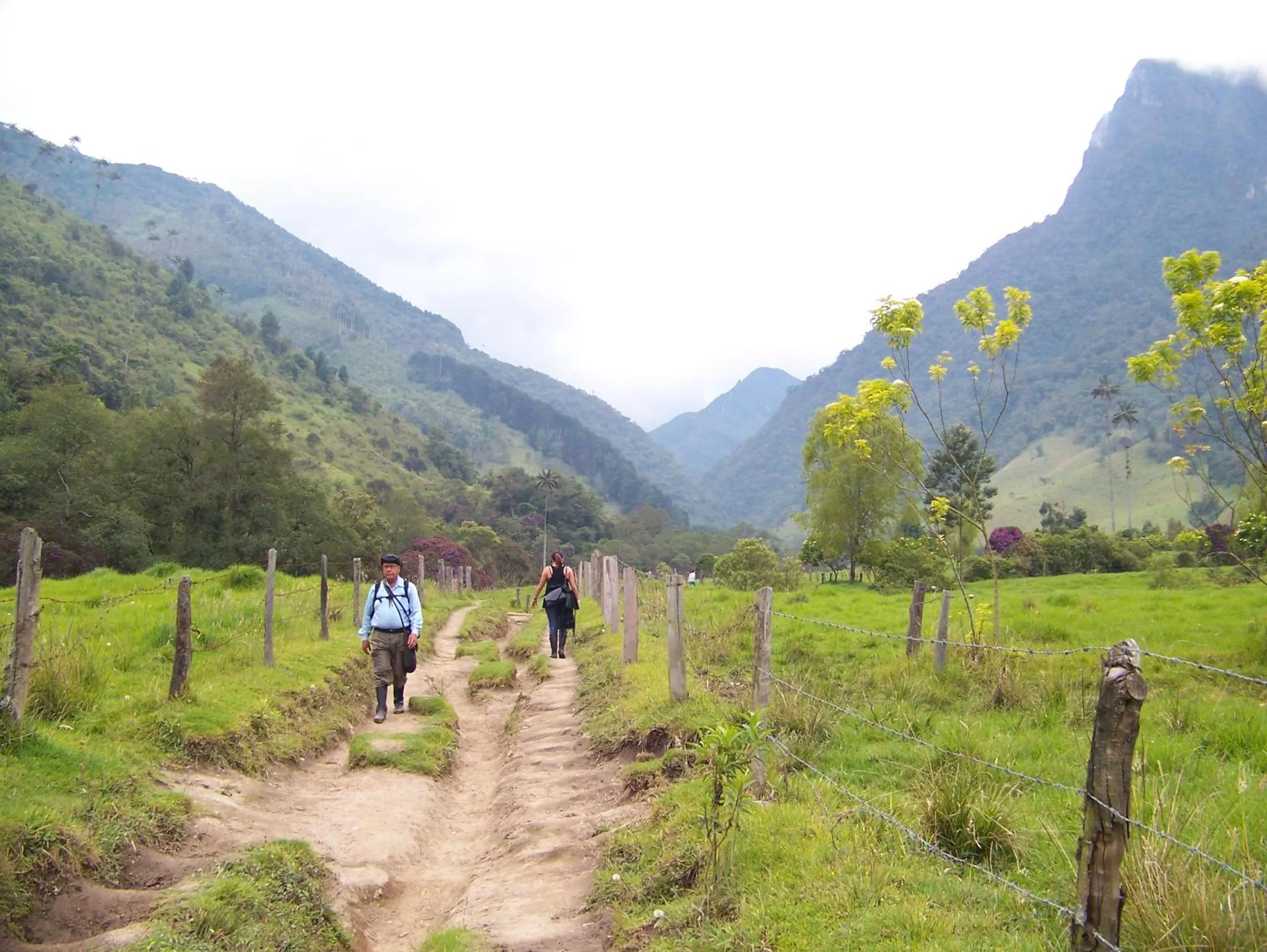 Natural landscape in Casa Borbon