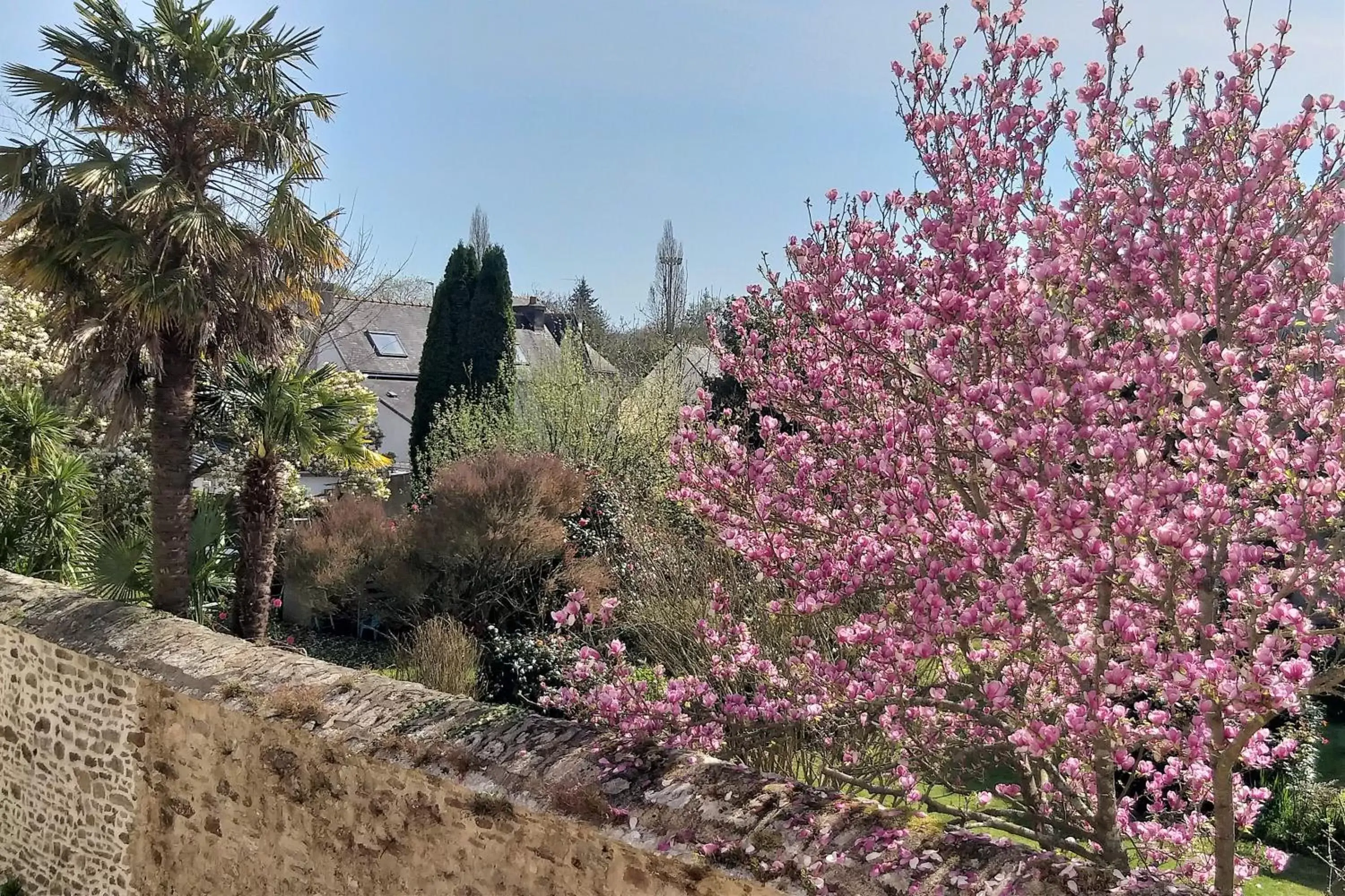 Garden view, Garden in Hôtel Ginkgo - SPA Biloba