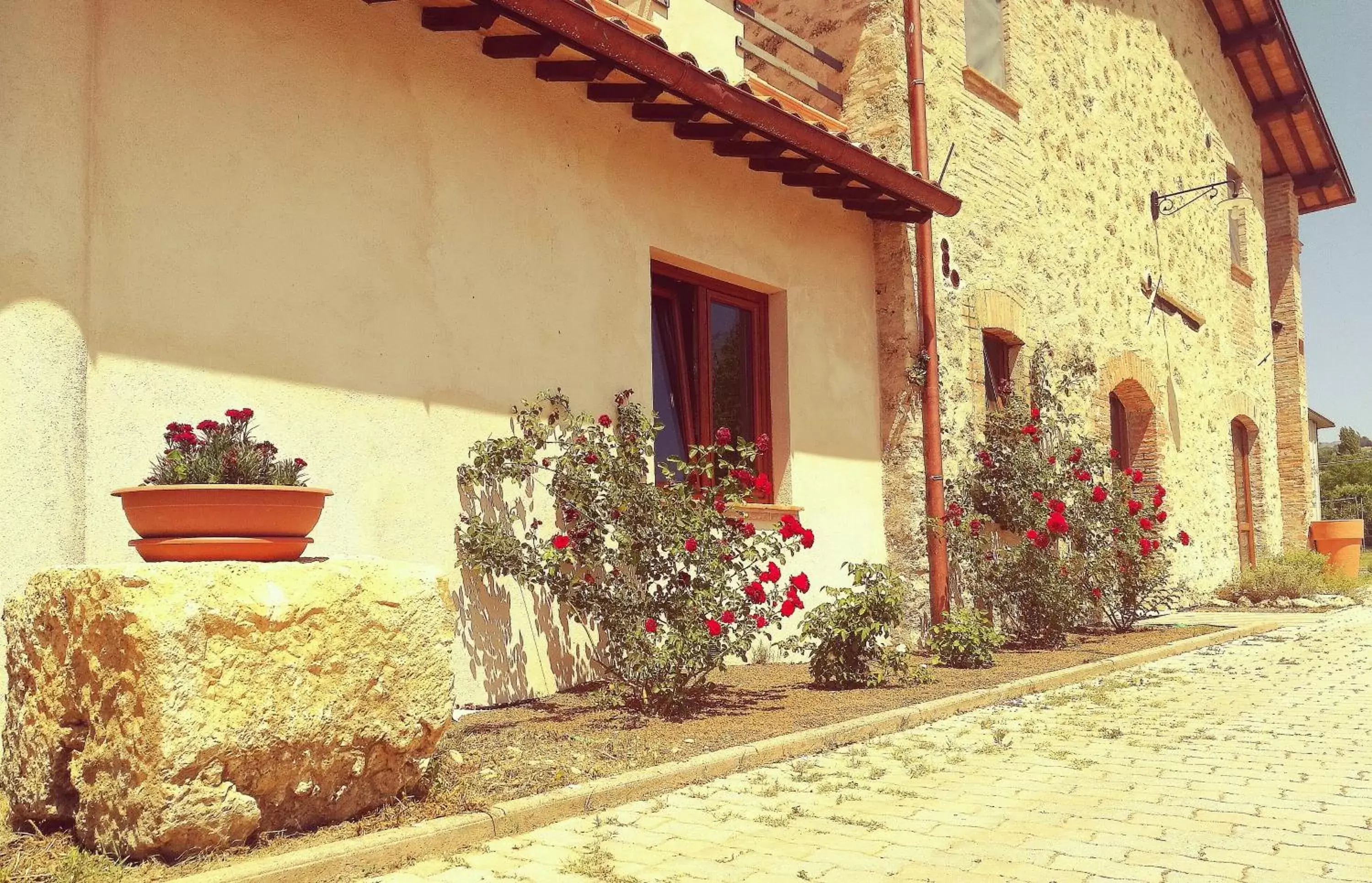 Garden in Il Casale dei Nonni