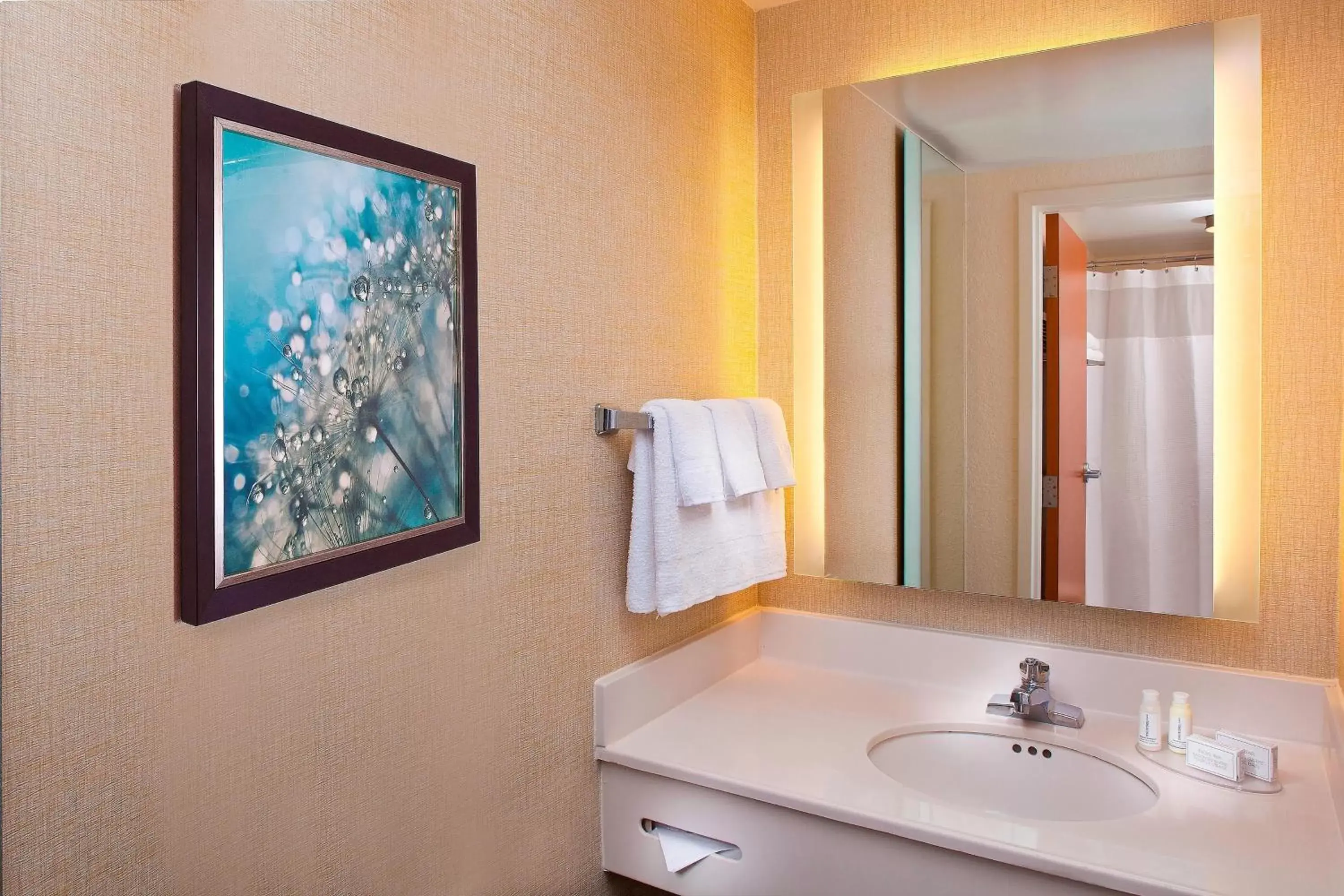 Bathroom in SpringHill Suites by Marriott Orlando Lake Buena Vista in Marriott Village