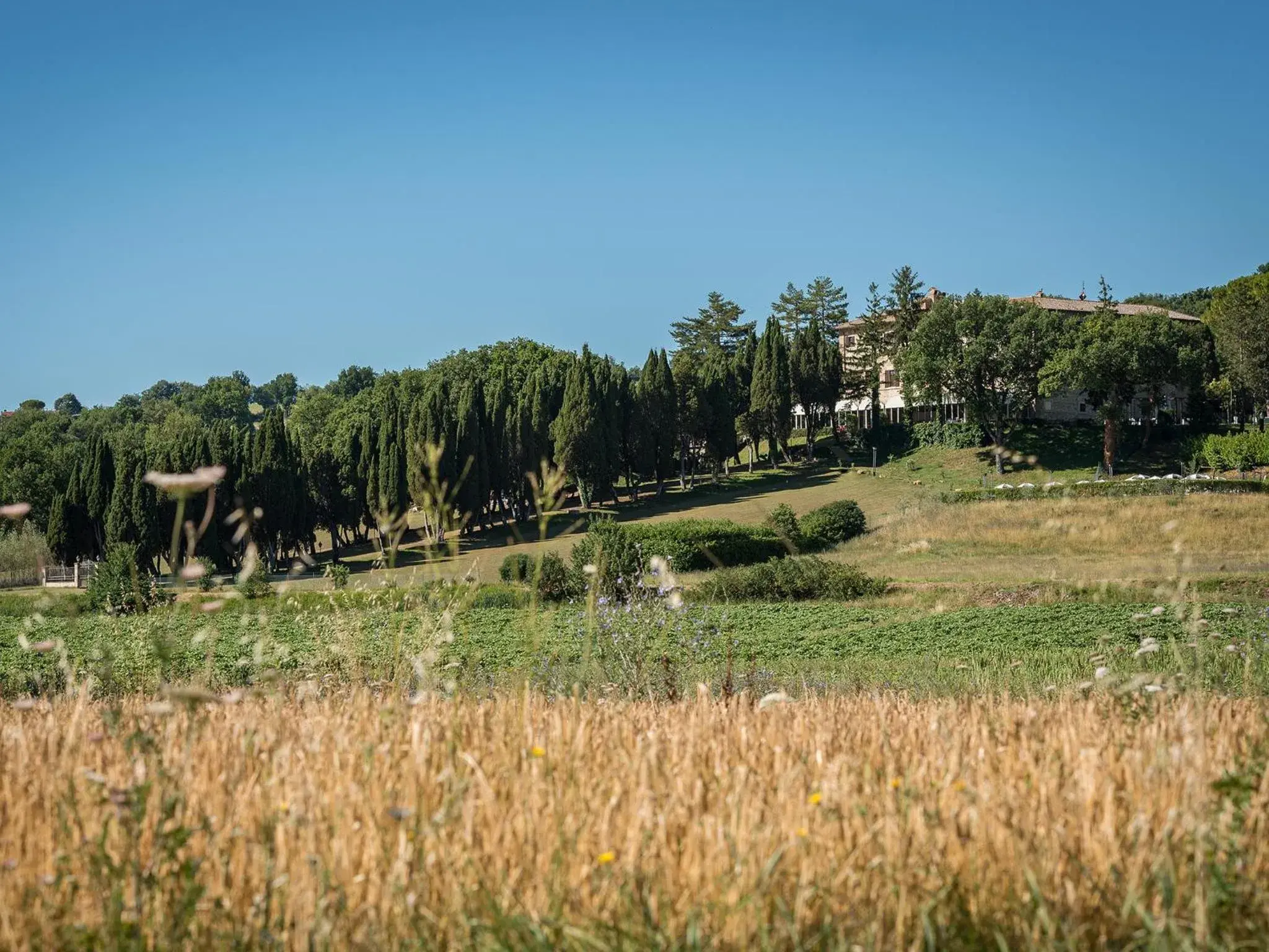 Garden view in Hotel Villa Montegranelli