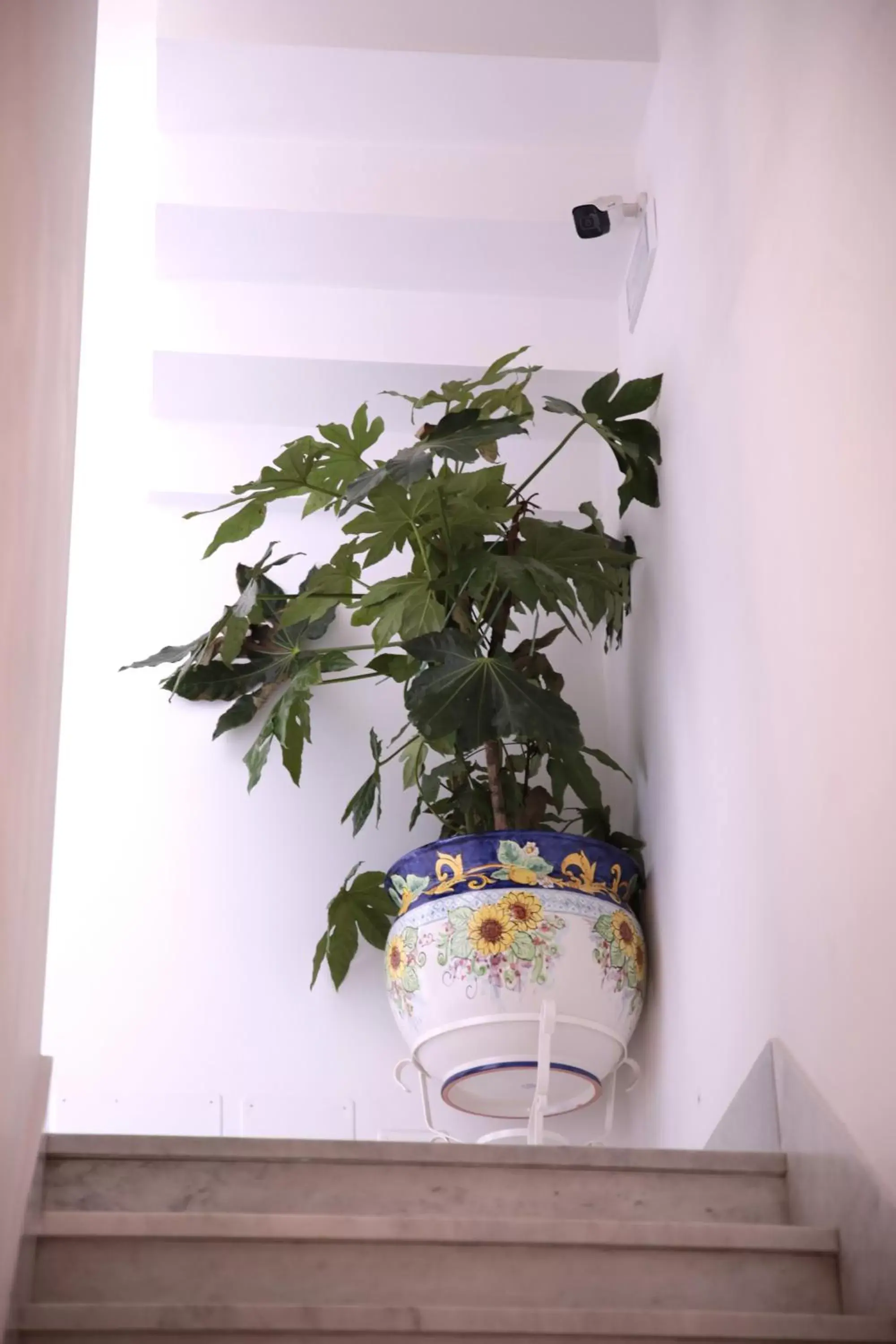 Lobby or reception in Palazzo Caracciolo del Sole Lobby or reception in Palazzo Caracciolo del Sole