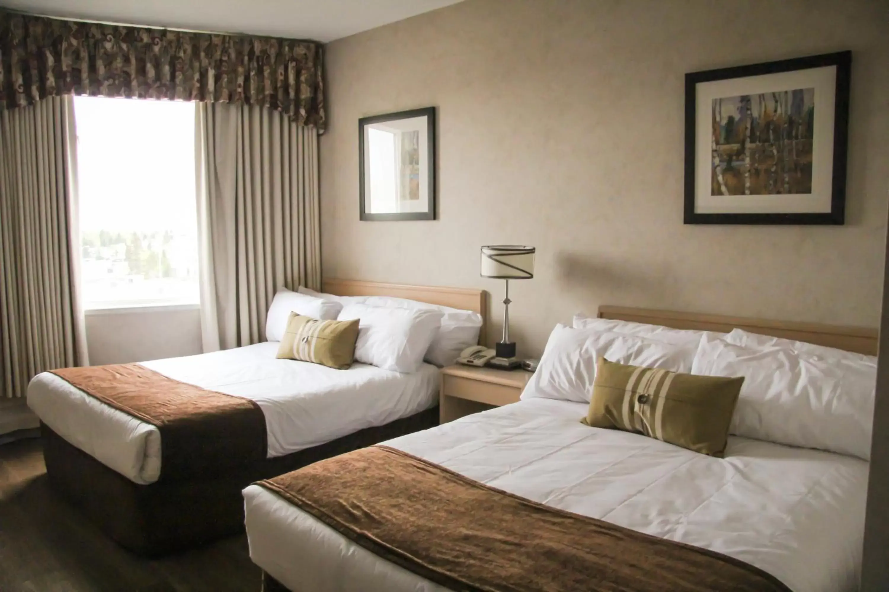 Photo of the whole room, Bed in Continental Inn & Suites