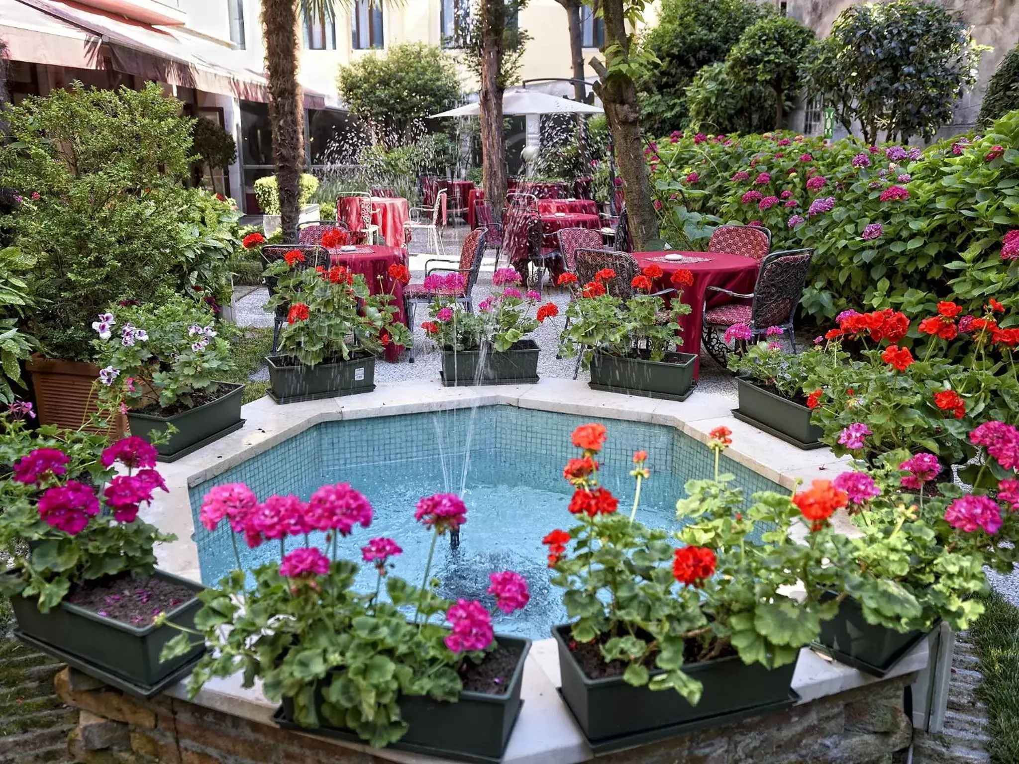 Garden, Pool View in Hotel Amadeus