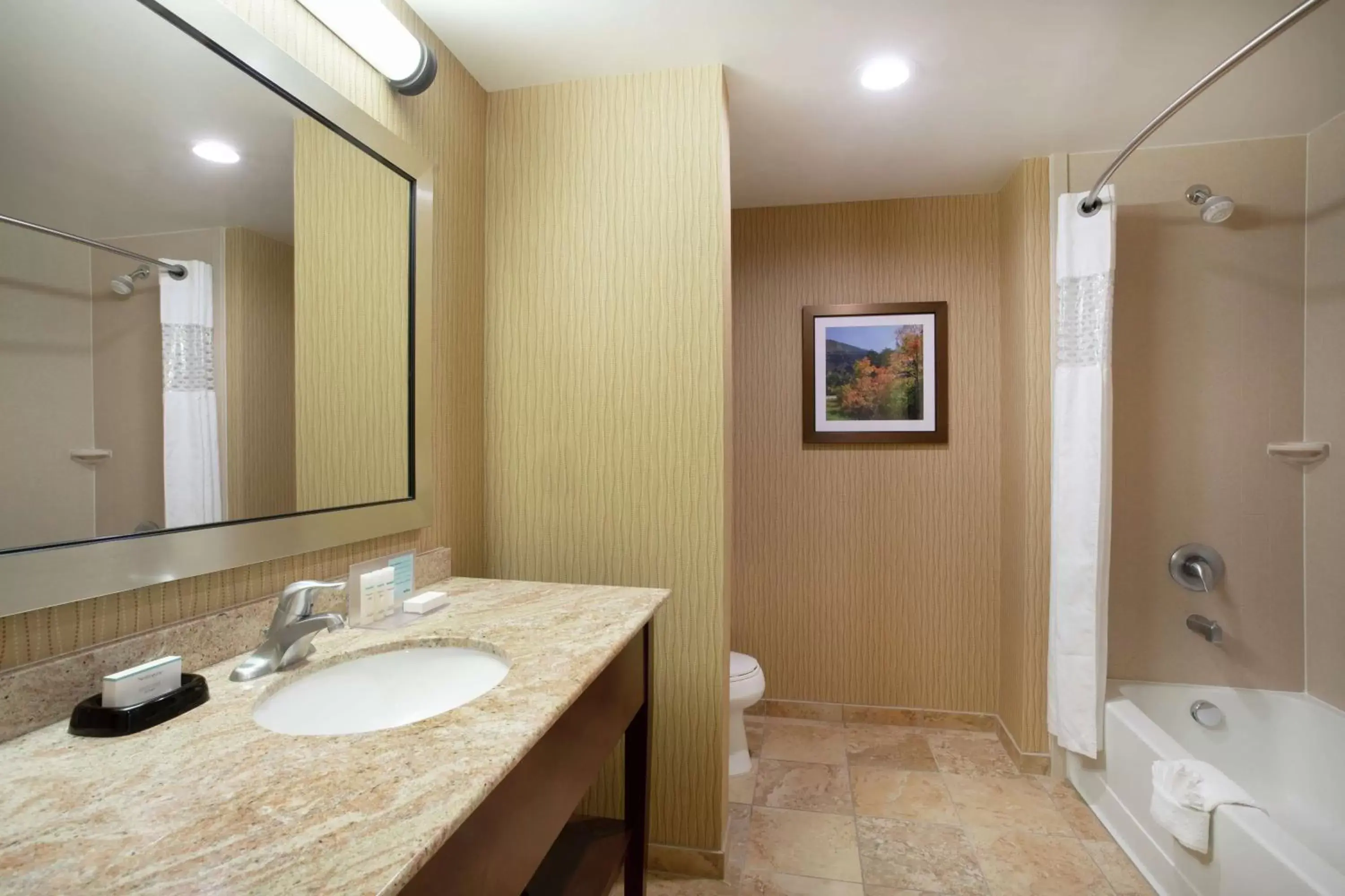 Bathroom in Hampton Inn and Suites Denver/South-RidgeGate