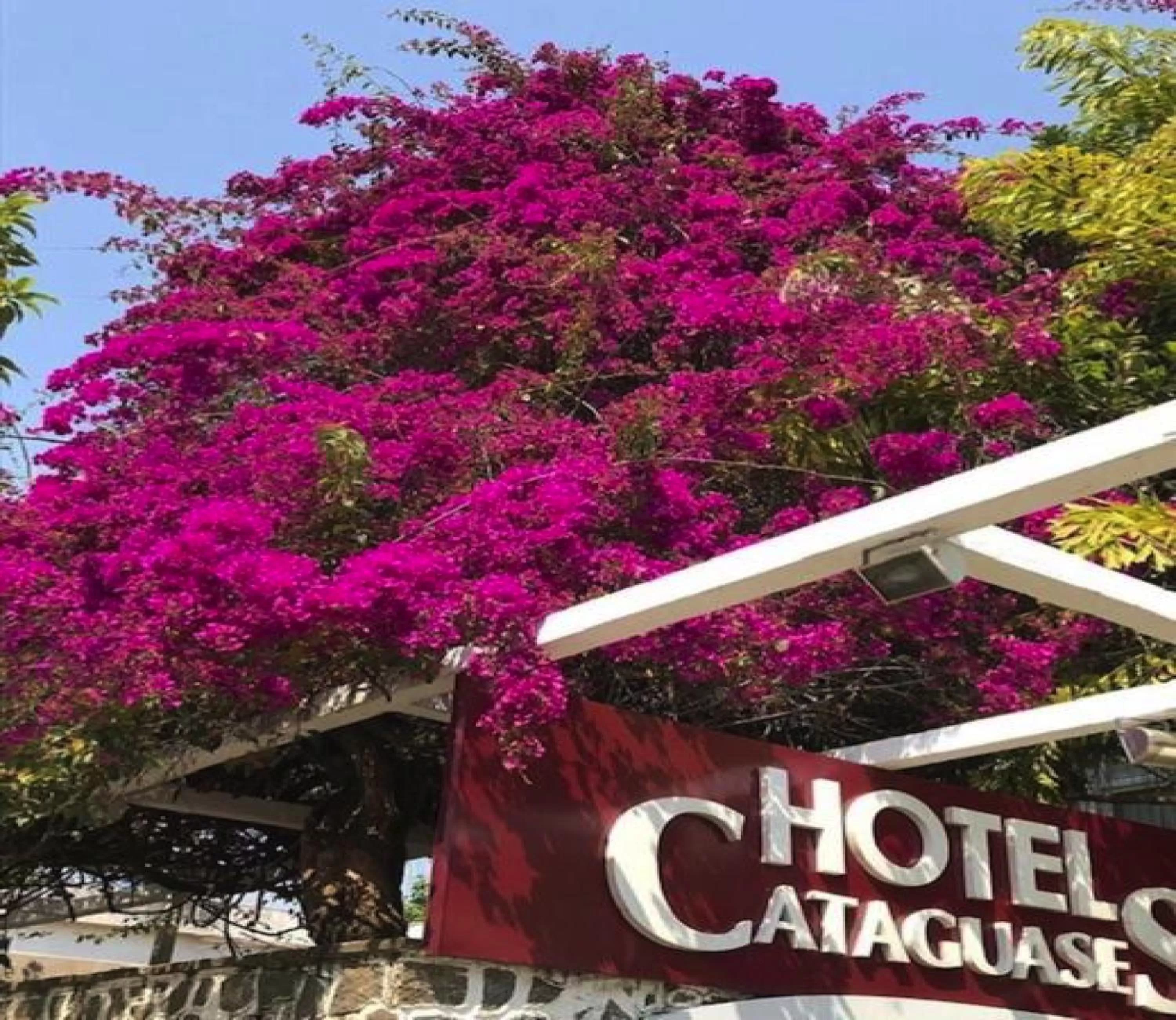 Facade/entrance in Hotel Cataguases