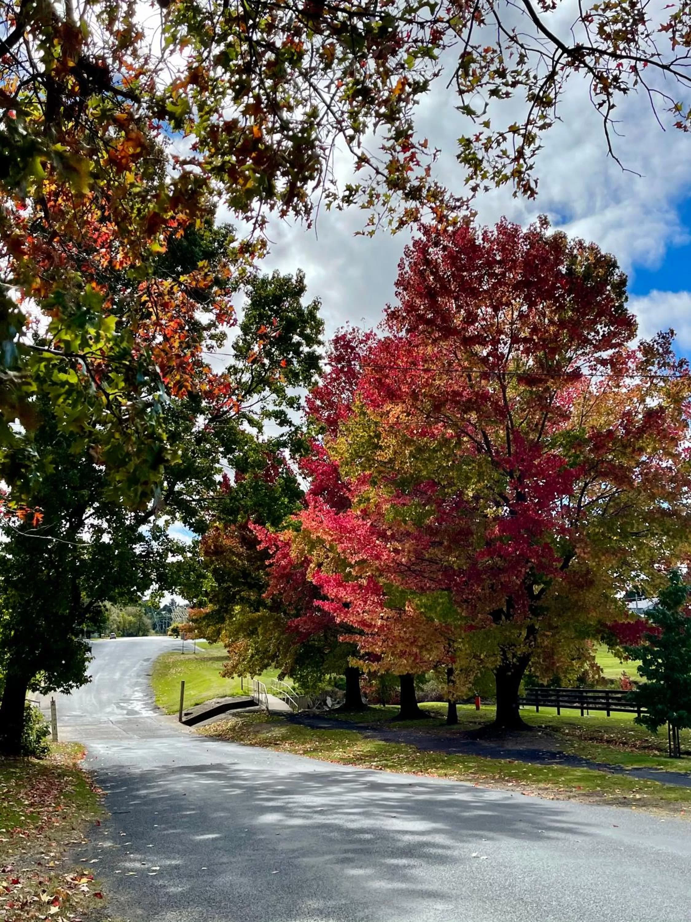 Clover Cottage Uralla