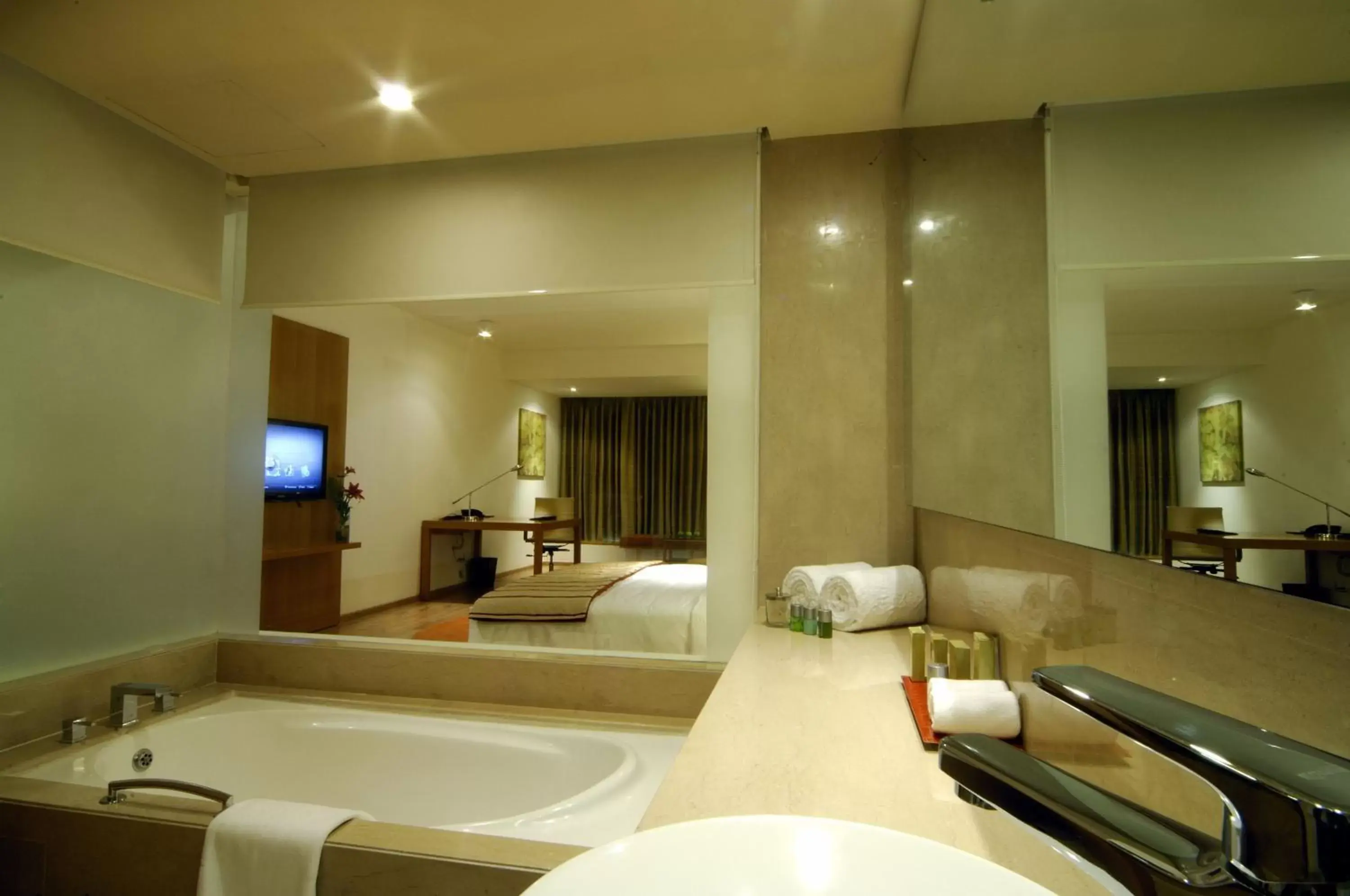 Bathroom in Radisson Blu Plaza Hotel Hyderabad Banjara Hills