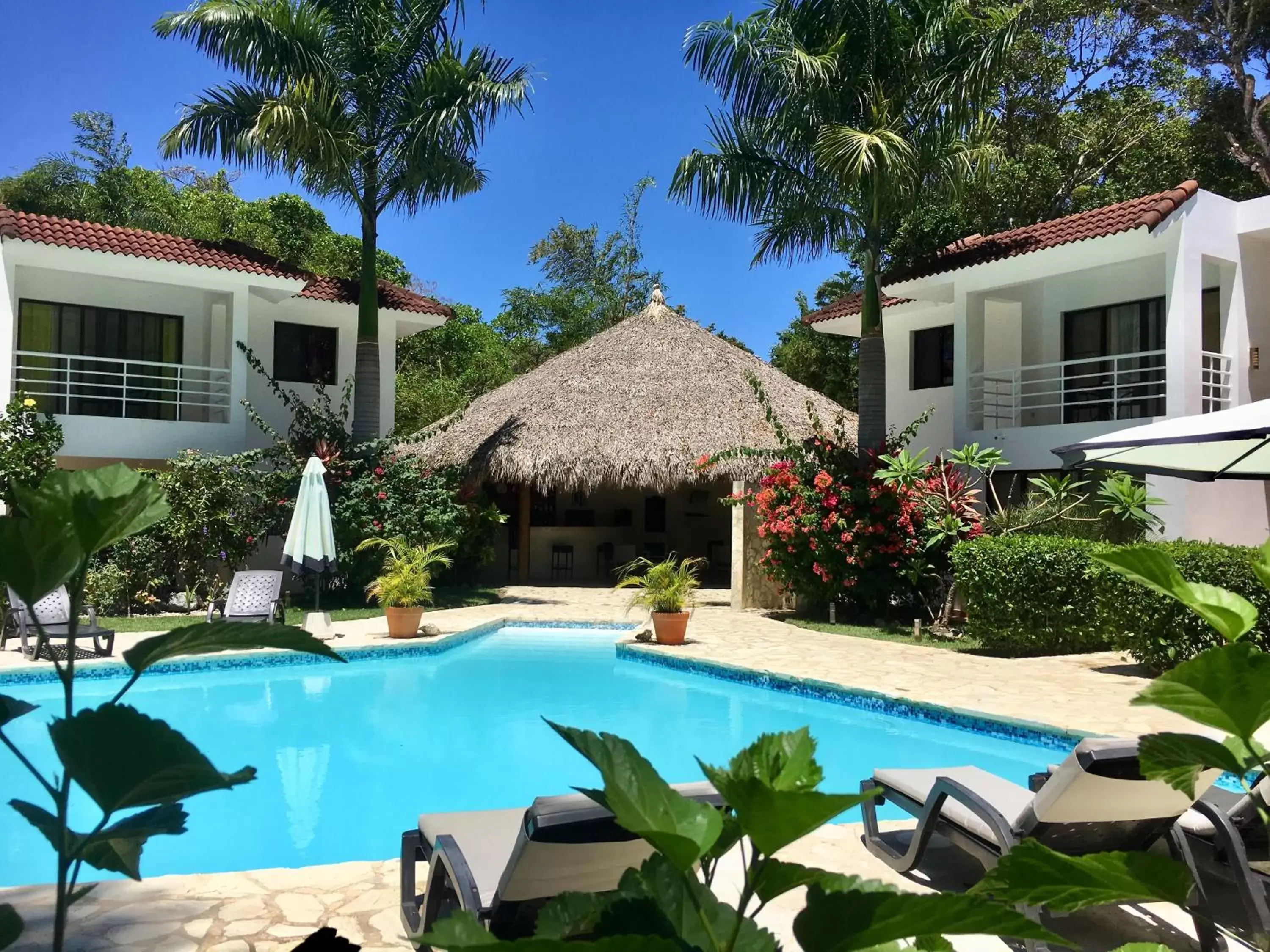 Garden view, Swimming Pool in Coral Blanco Hotel