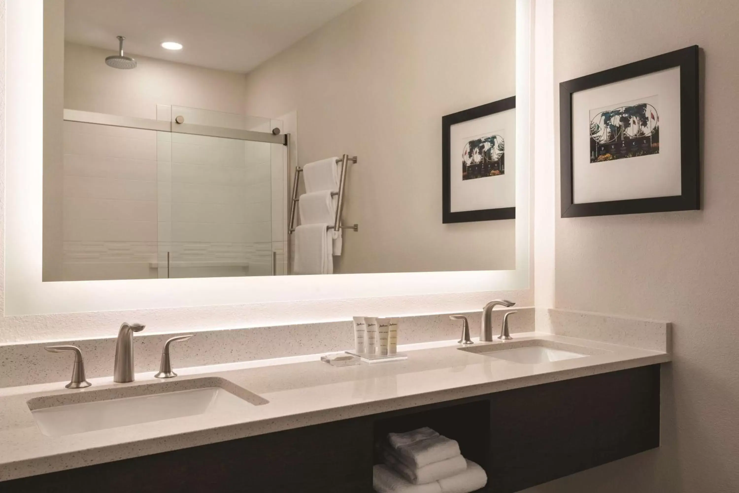 Shower, Bathroom in Radisson Hotel & Conference Center Rockford