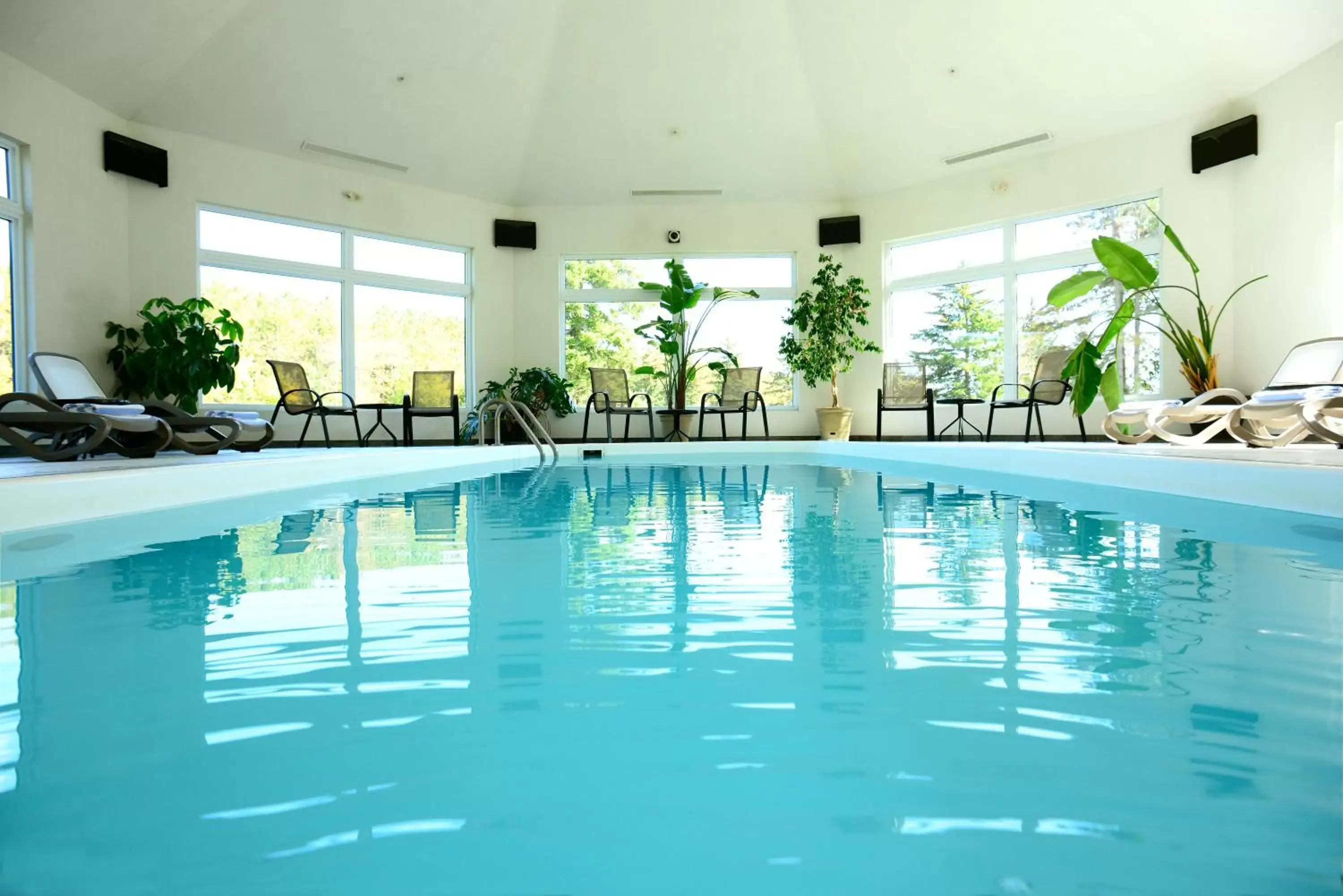 Swimming Pool in Millcroft Inn & Spa