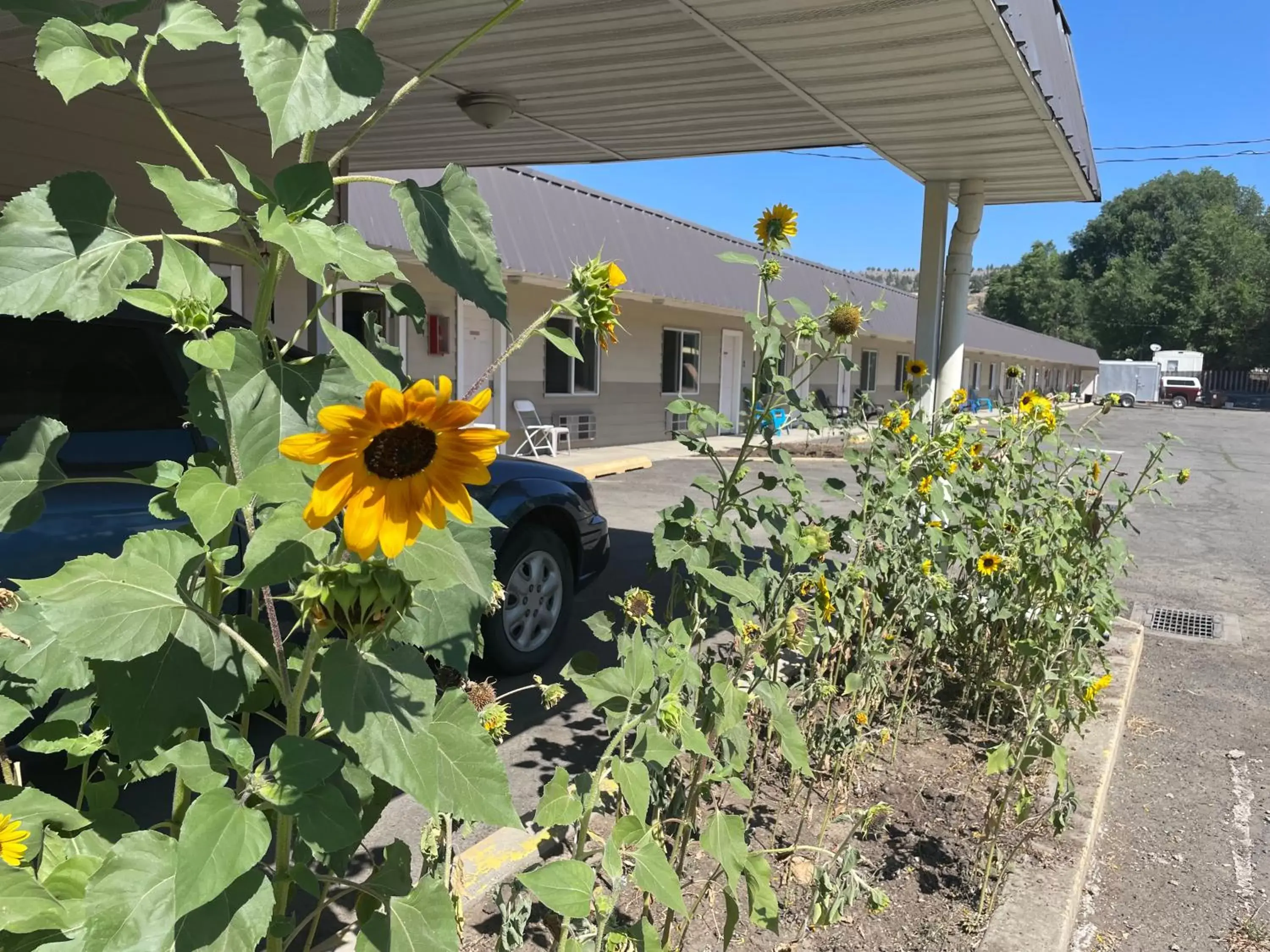 Property building in Budget 8 Motel Property building in Budget 8 Motel