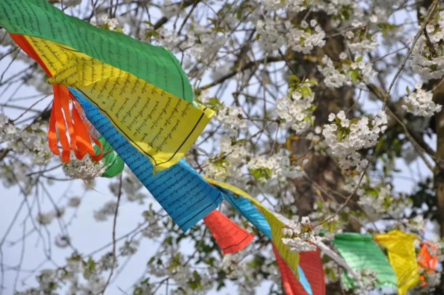 Day in Bed and Breakfast Bavaria München