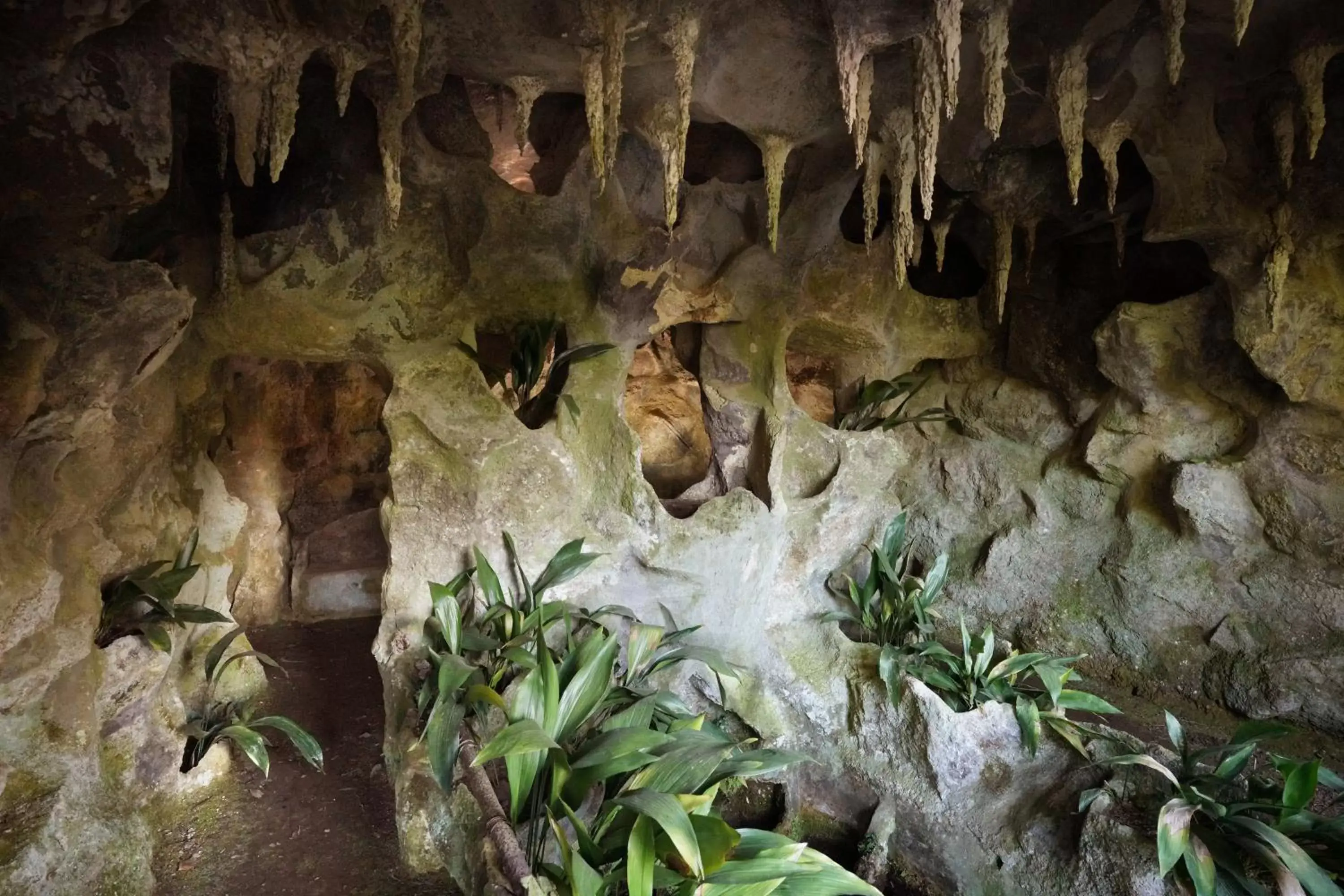 Natural landscape in The Grove Houses