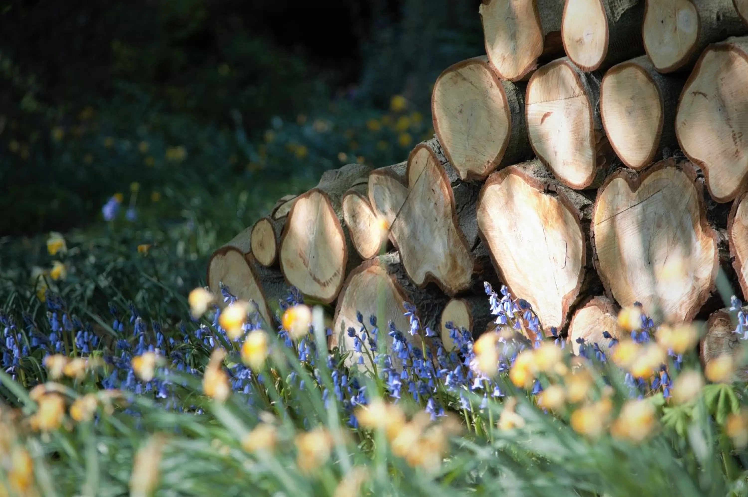 Garden, Other Animals in Fischers Baslow Hall - Chatsworth