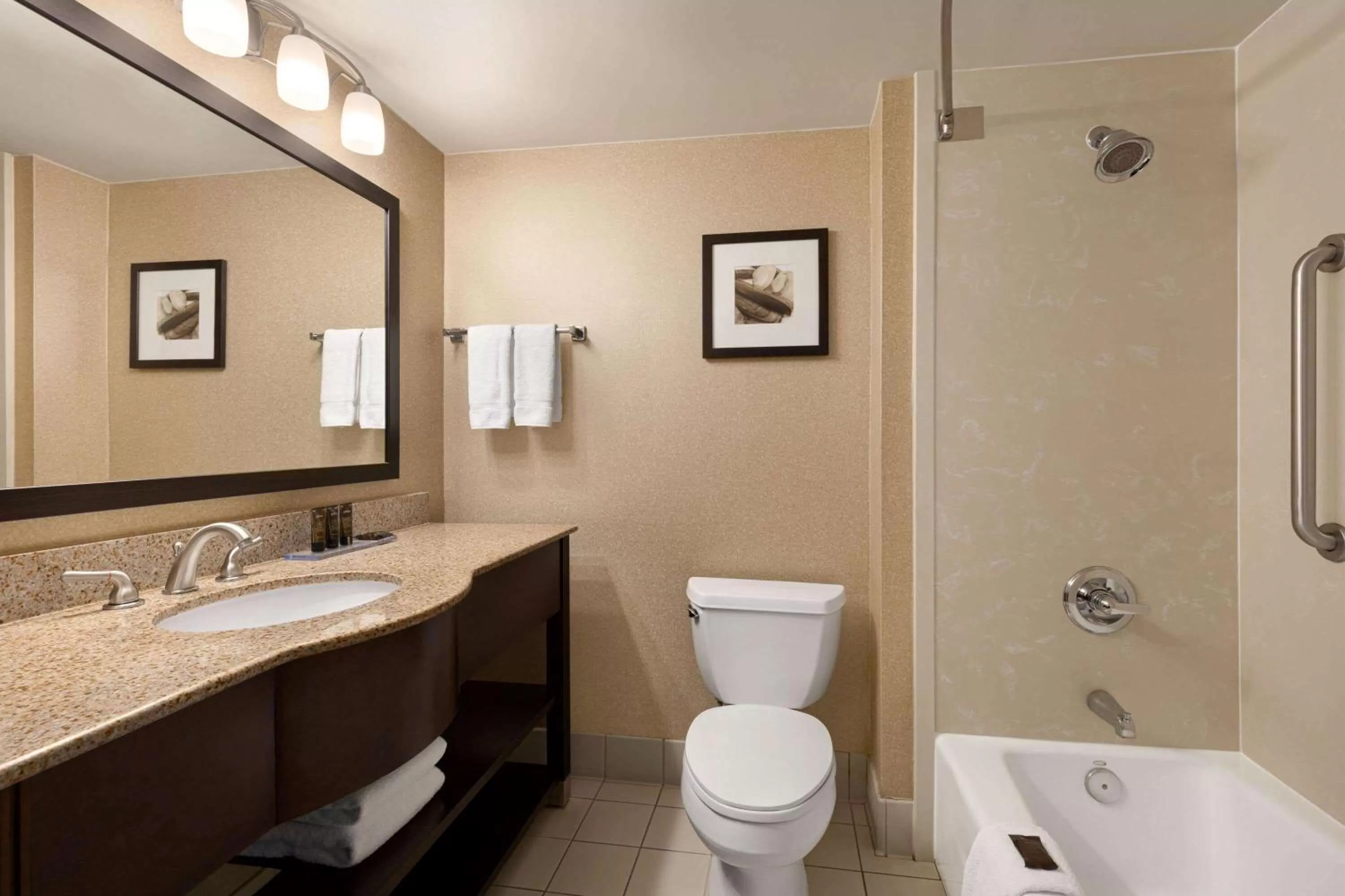 Bathroom in Wingate by Wyndham Wilmington