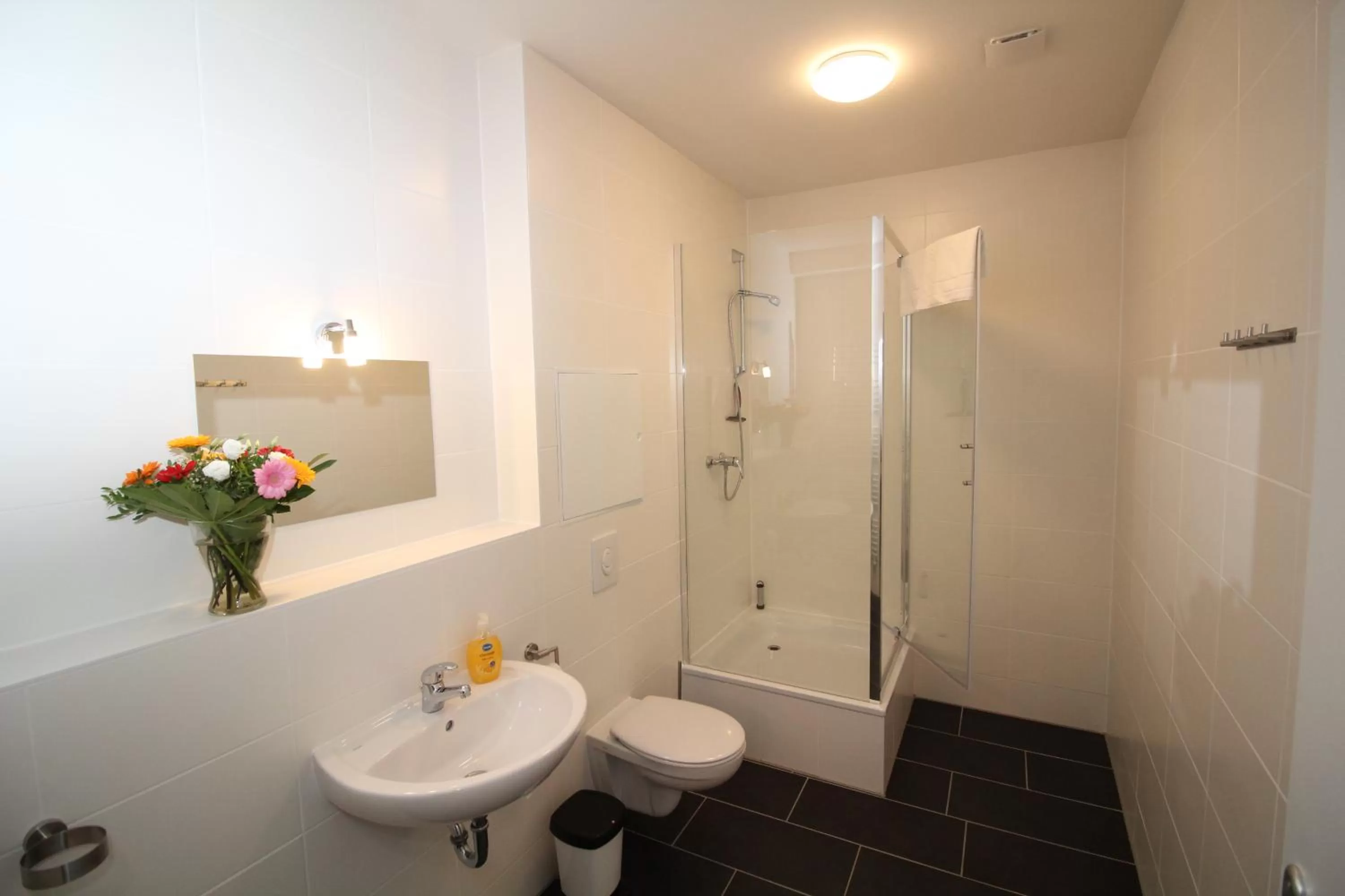 Bathroom in Apartments Tempelhof