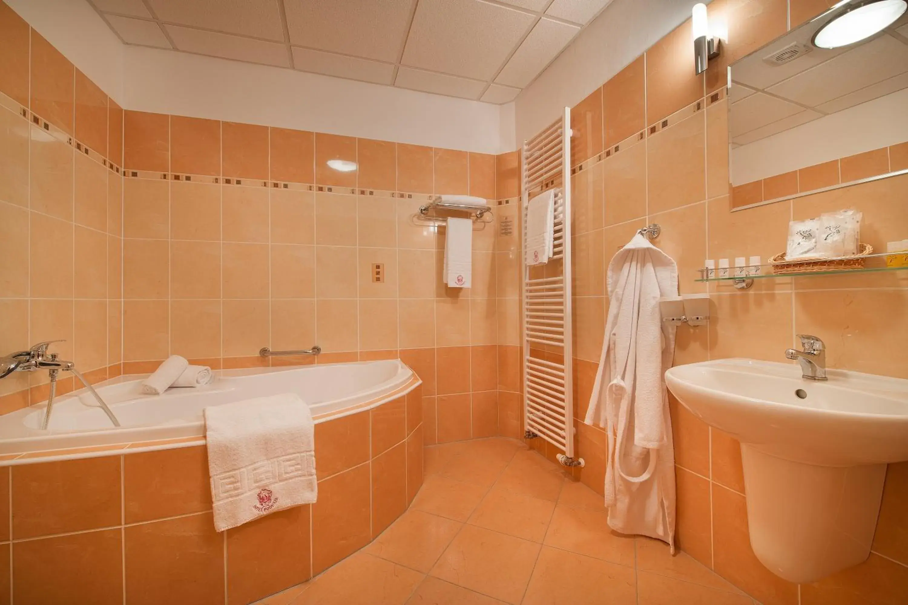 Toilet, Bathroom in Hotel Podhrad