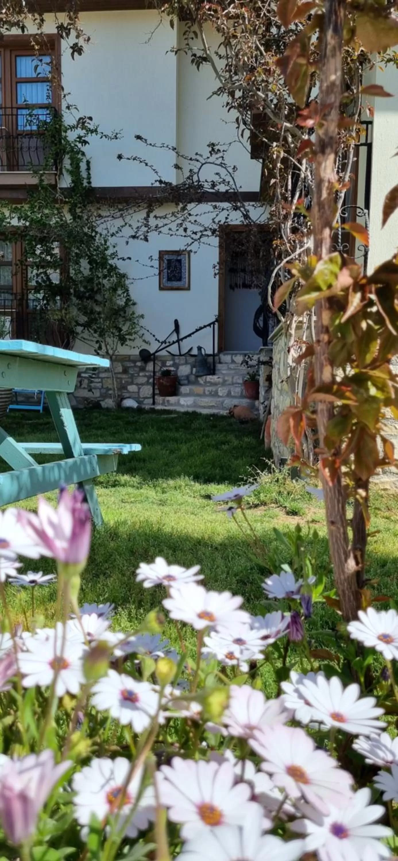Garden in Kusadasi Sezgins Boutique Rooms