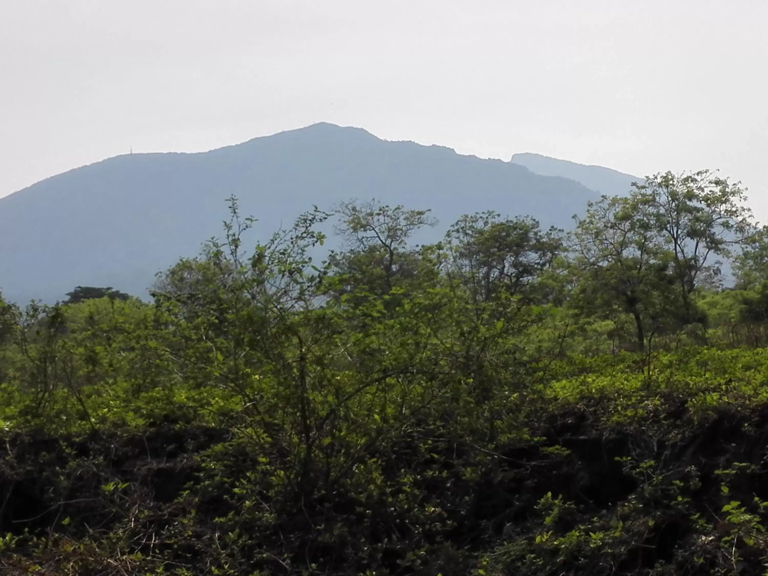 People, Natural Landscape in Hotel Casa Barcelona