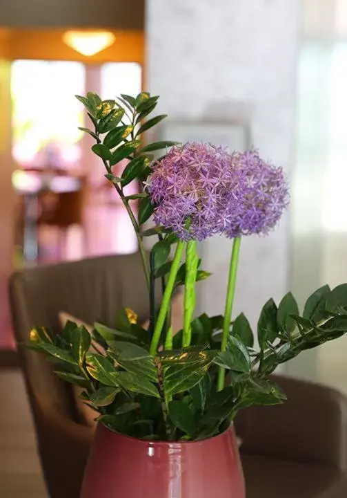 Lobby or reception in Hotel New Orly Lobby or reception in Hotel New Orly