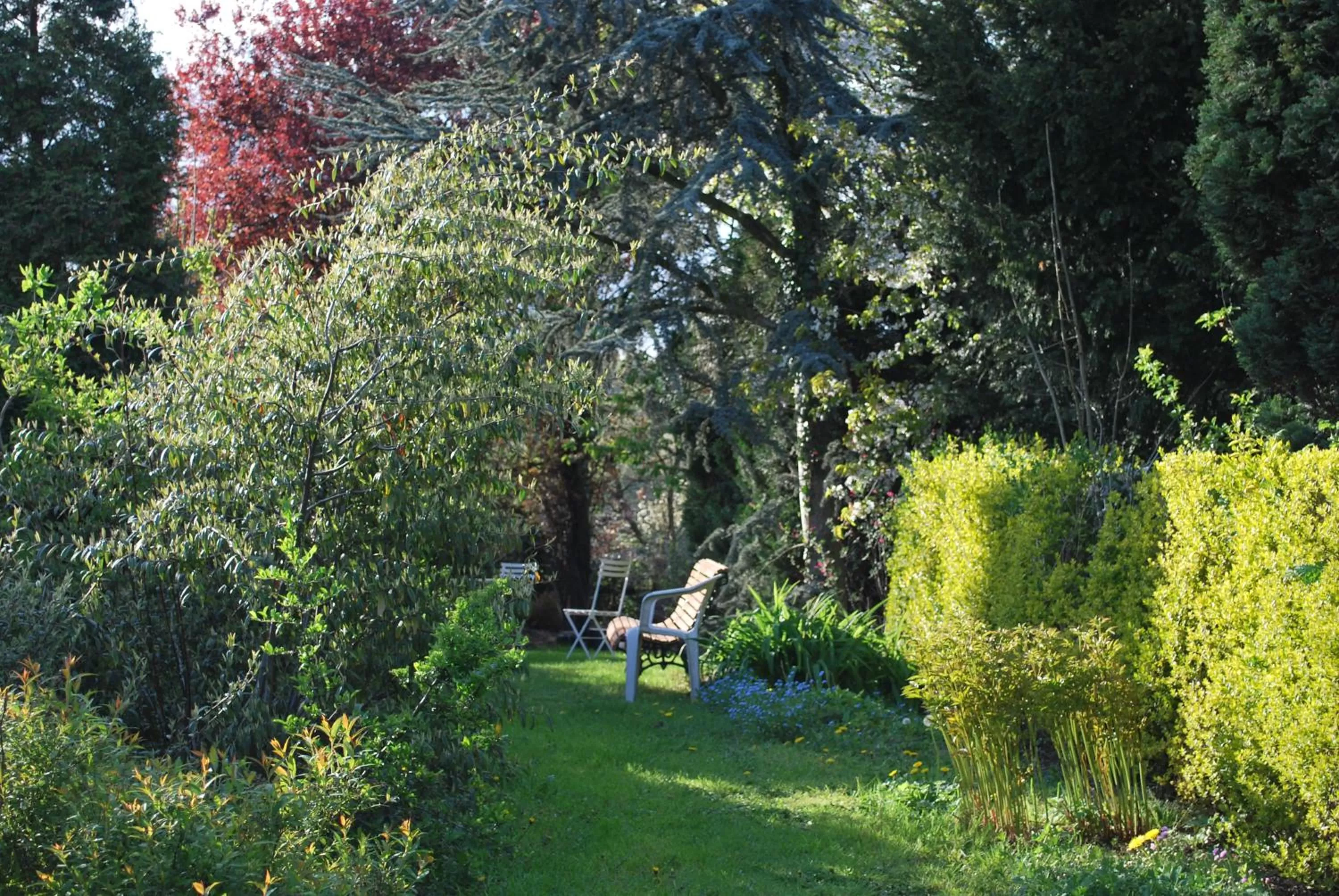 Garden in W'allons nous dormir