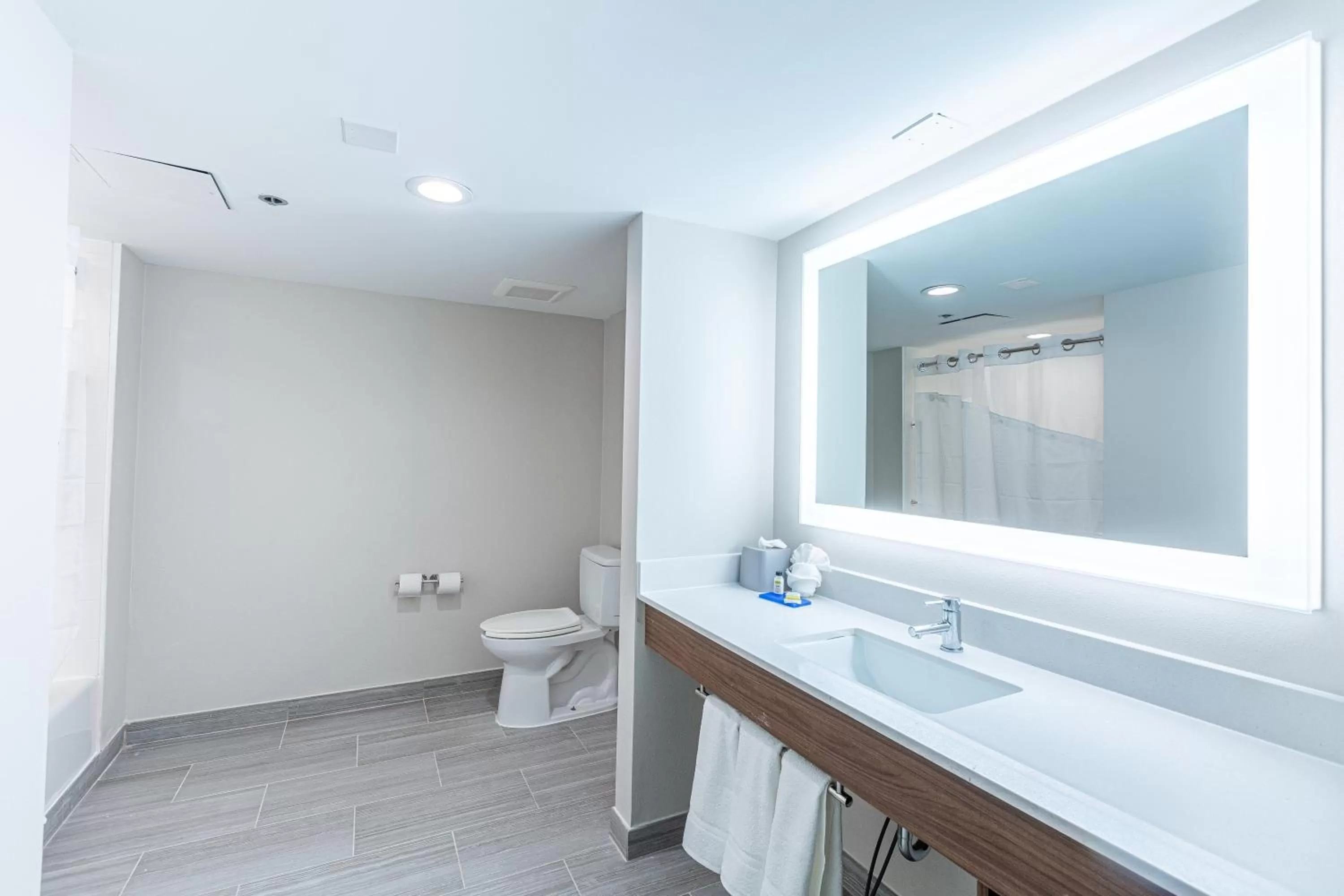 Bathroom in Holiday Inn Express & Suites Arlington North – Stadium Area by IHG
