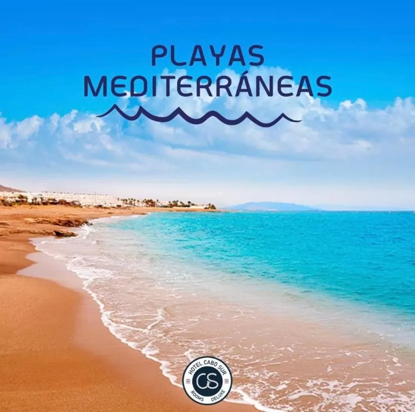 Beach in HOTEL BOUTIQUE CABO SUR