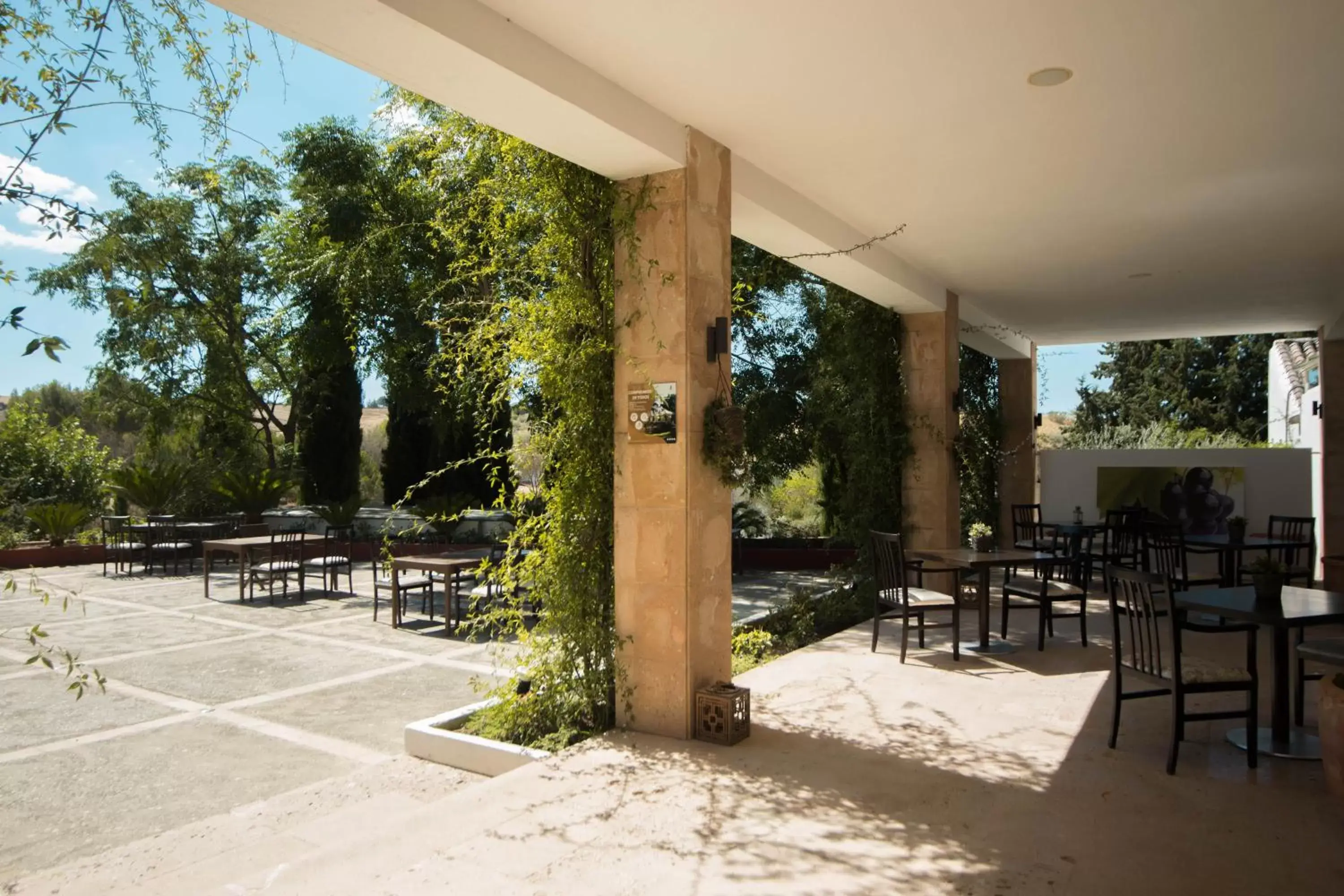 Balcony/Terrace in Hotel Bodega El Juncal