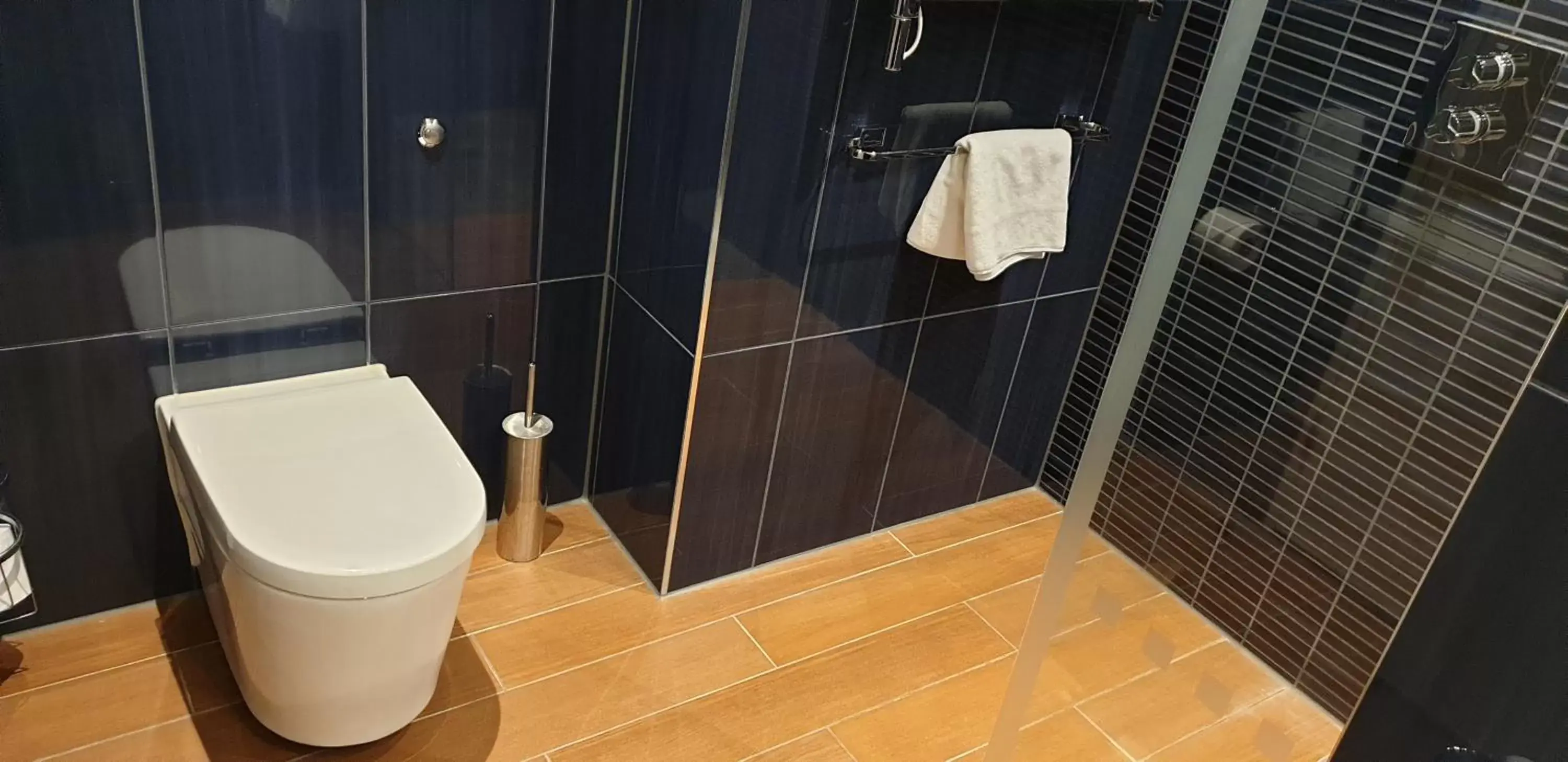 Toilet, Bathroom in Brooklands Hotel & Spa