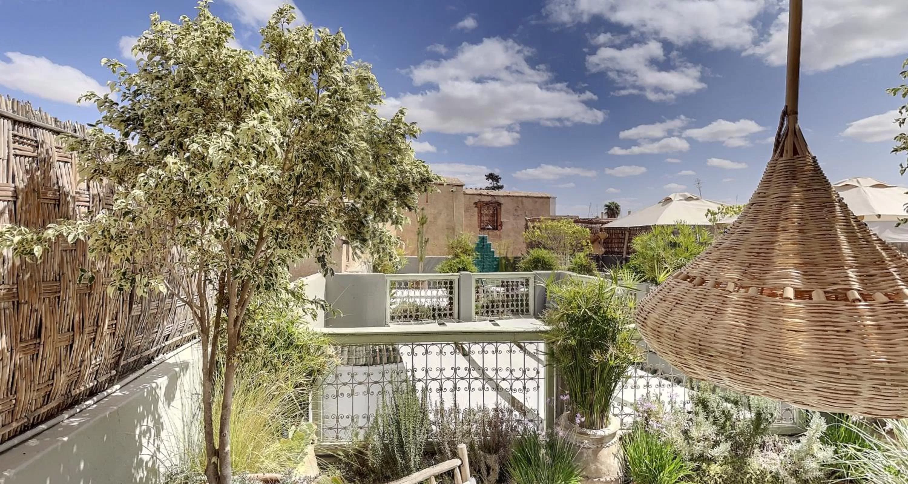 Garden in Riad Dar Chacha