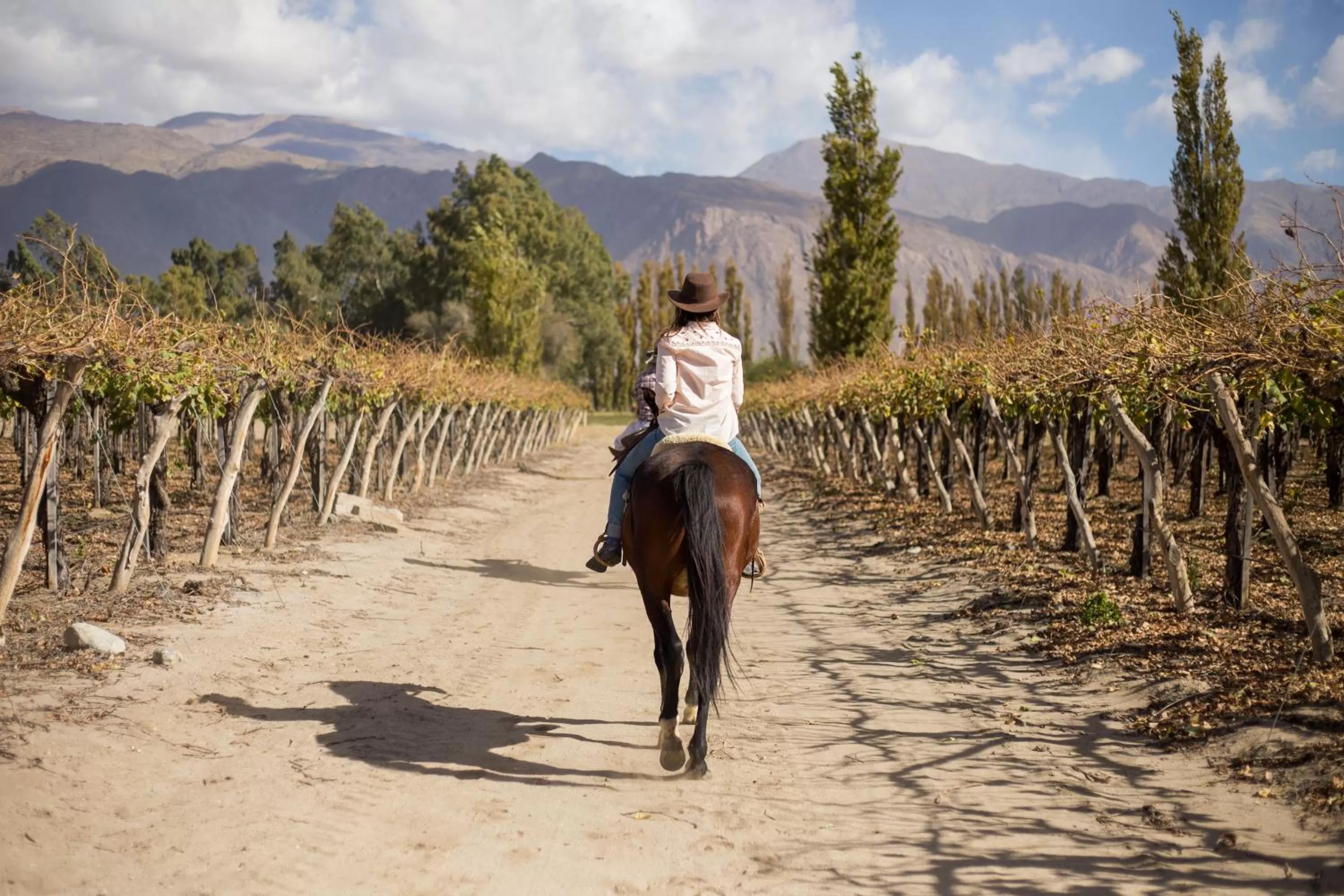 Off site, Horseback Riding in Grace Cafayate