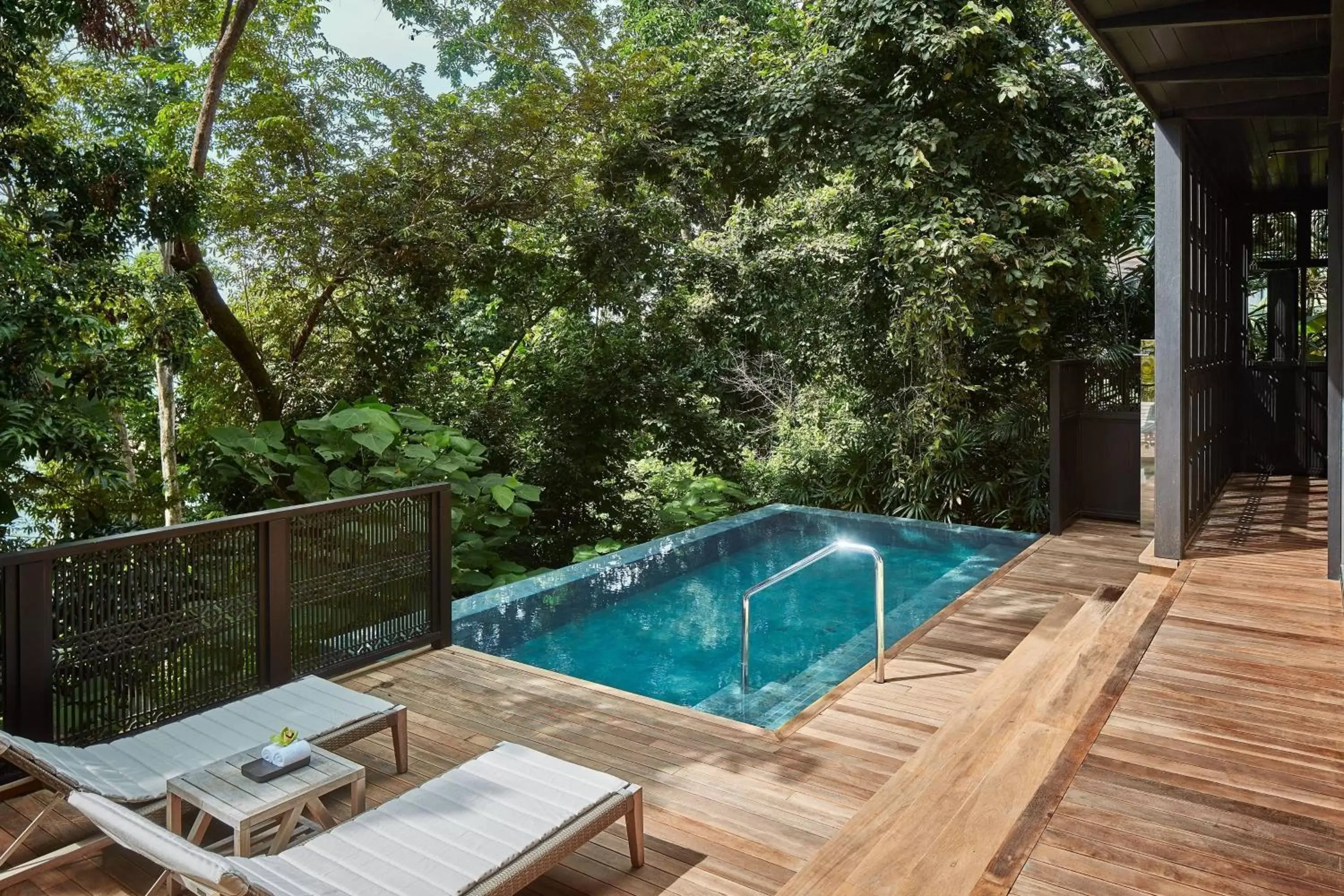 Swimming Pool in The Ritz-Carlton, Langkawi