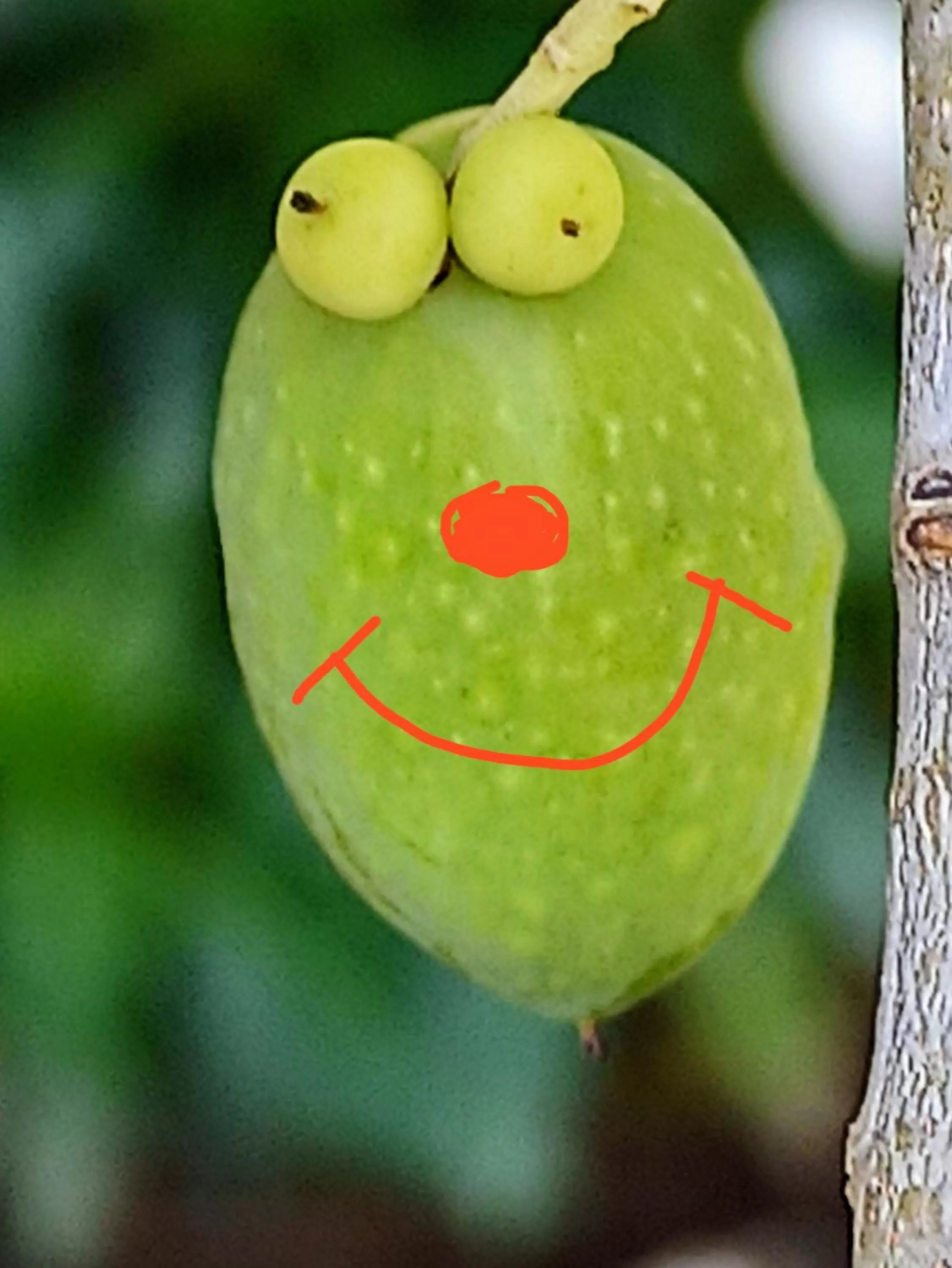 Natural landscape in Le Zampolle B & B