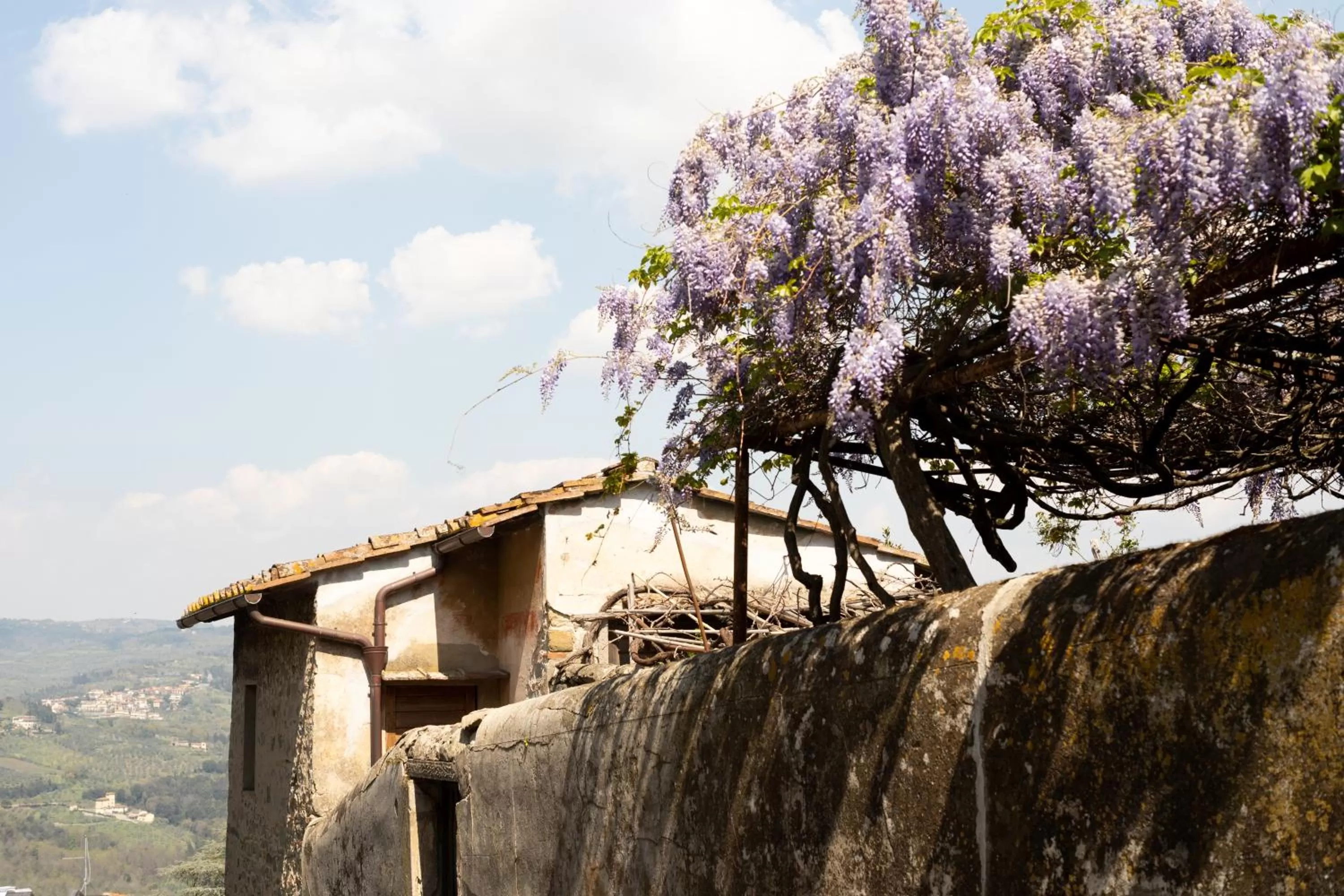 Street view in B&B Le Cannelle FIESOLE