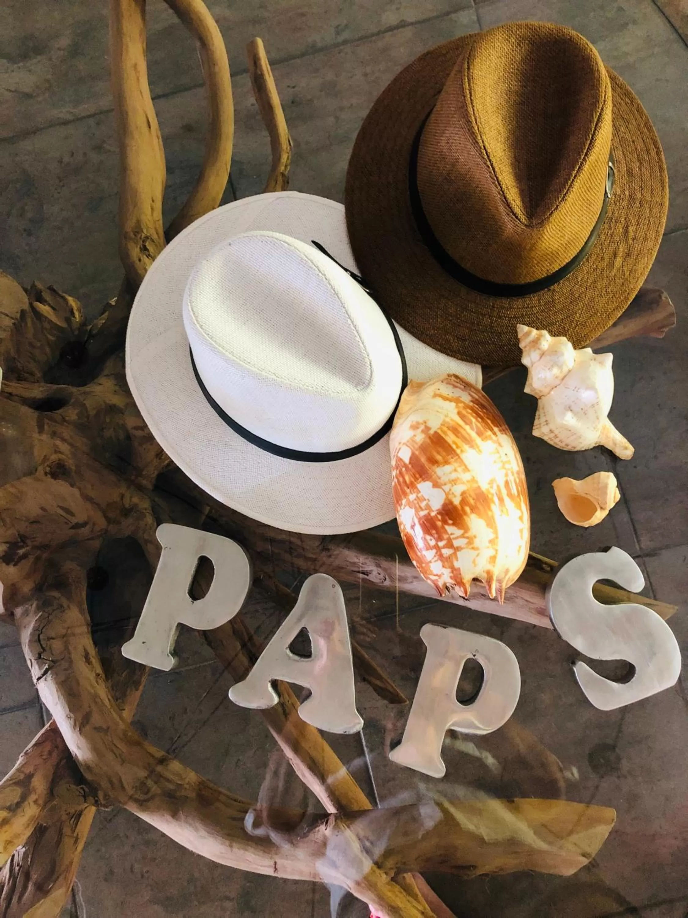 Other in PAP'S Chambres d'Hôtes