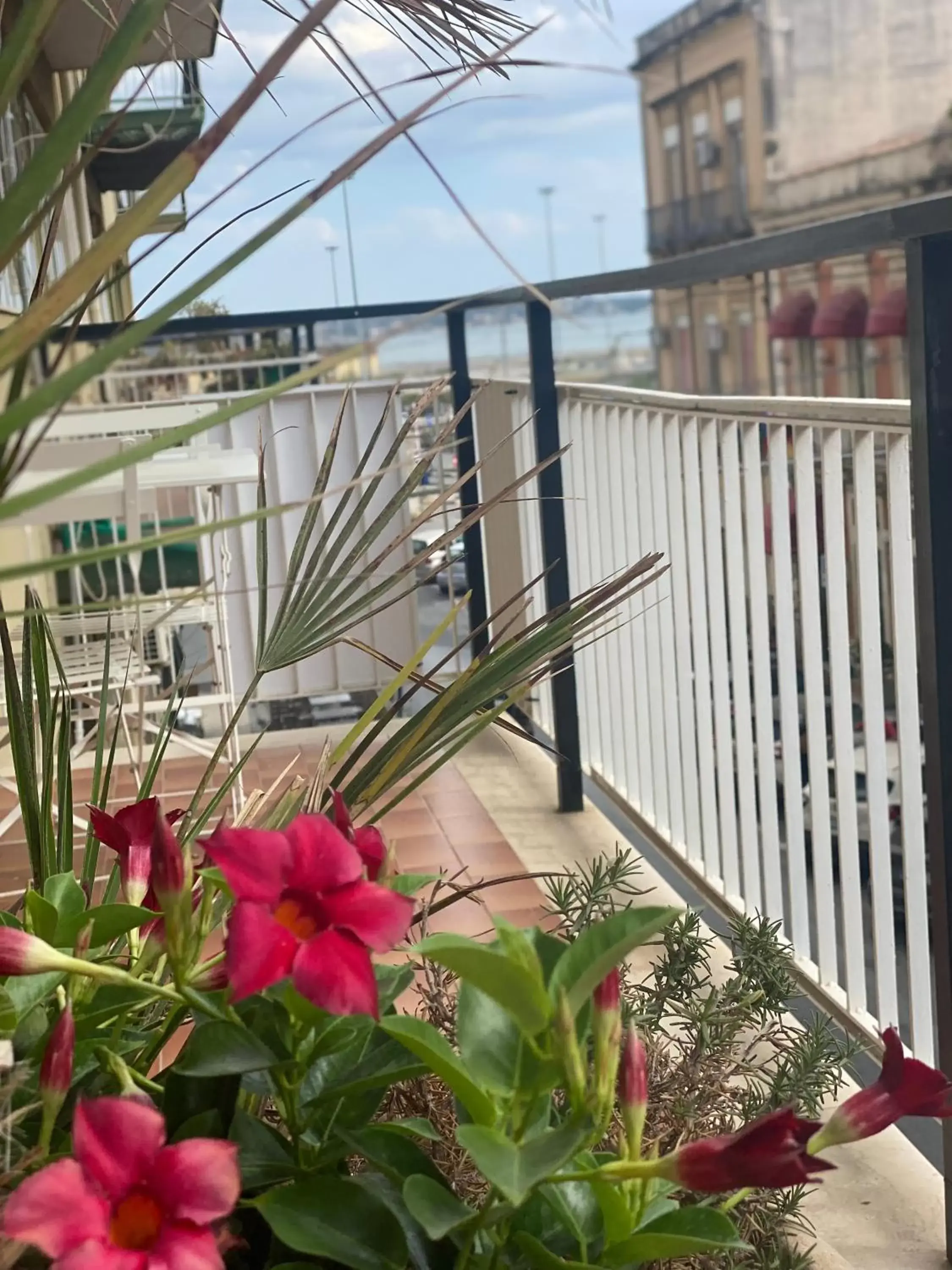 Balcony/Terrace in Near Ortigia