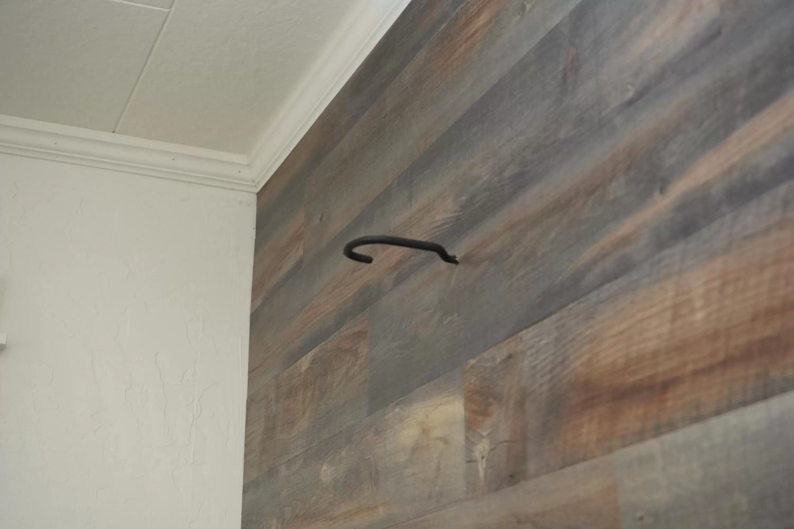 Other in North Idaho Inn