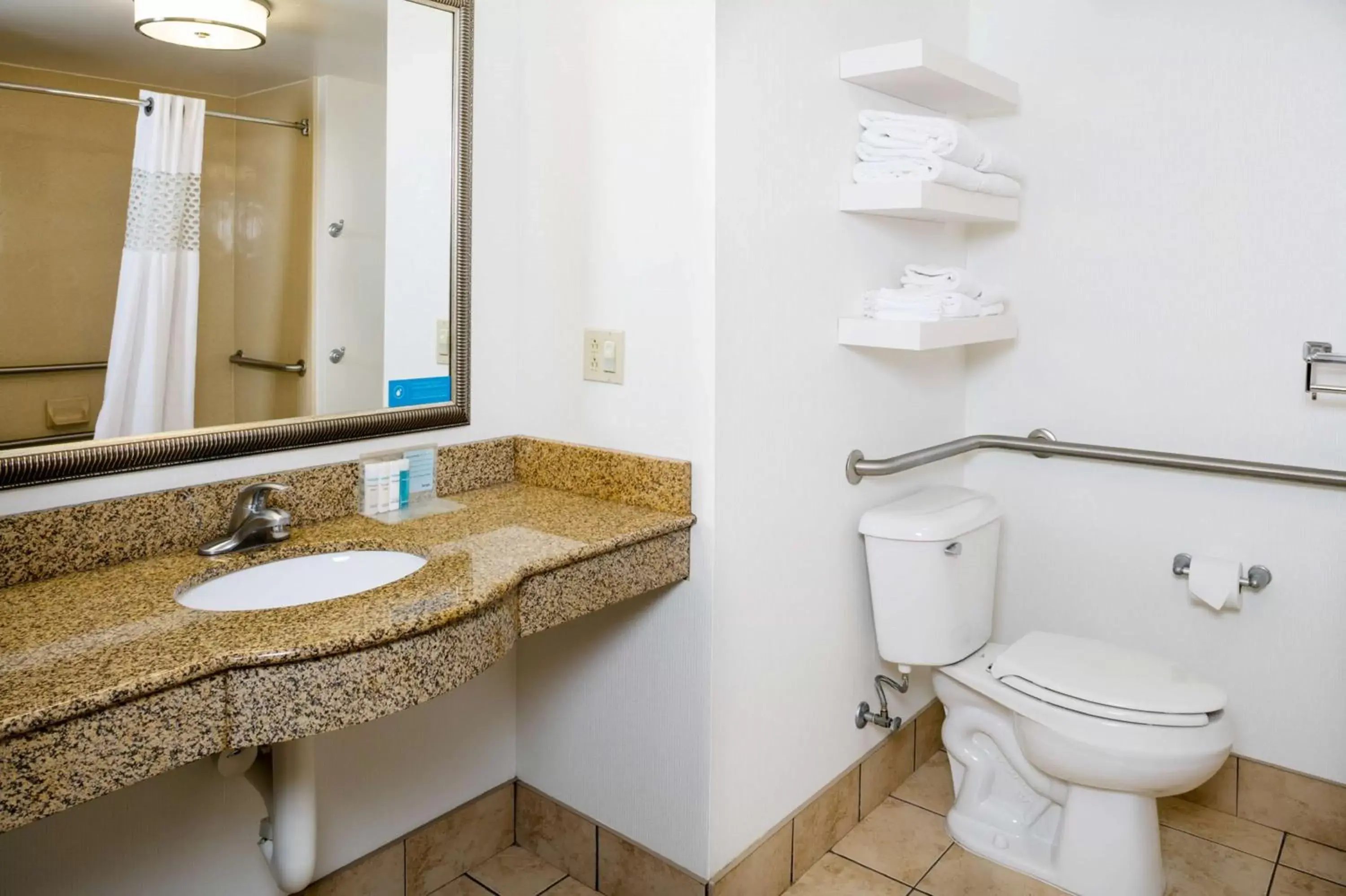 Bathroom in Hampton Inn & Suites Toledo-Perrysburg