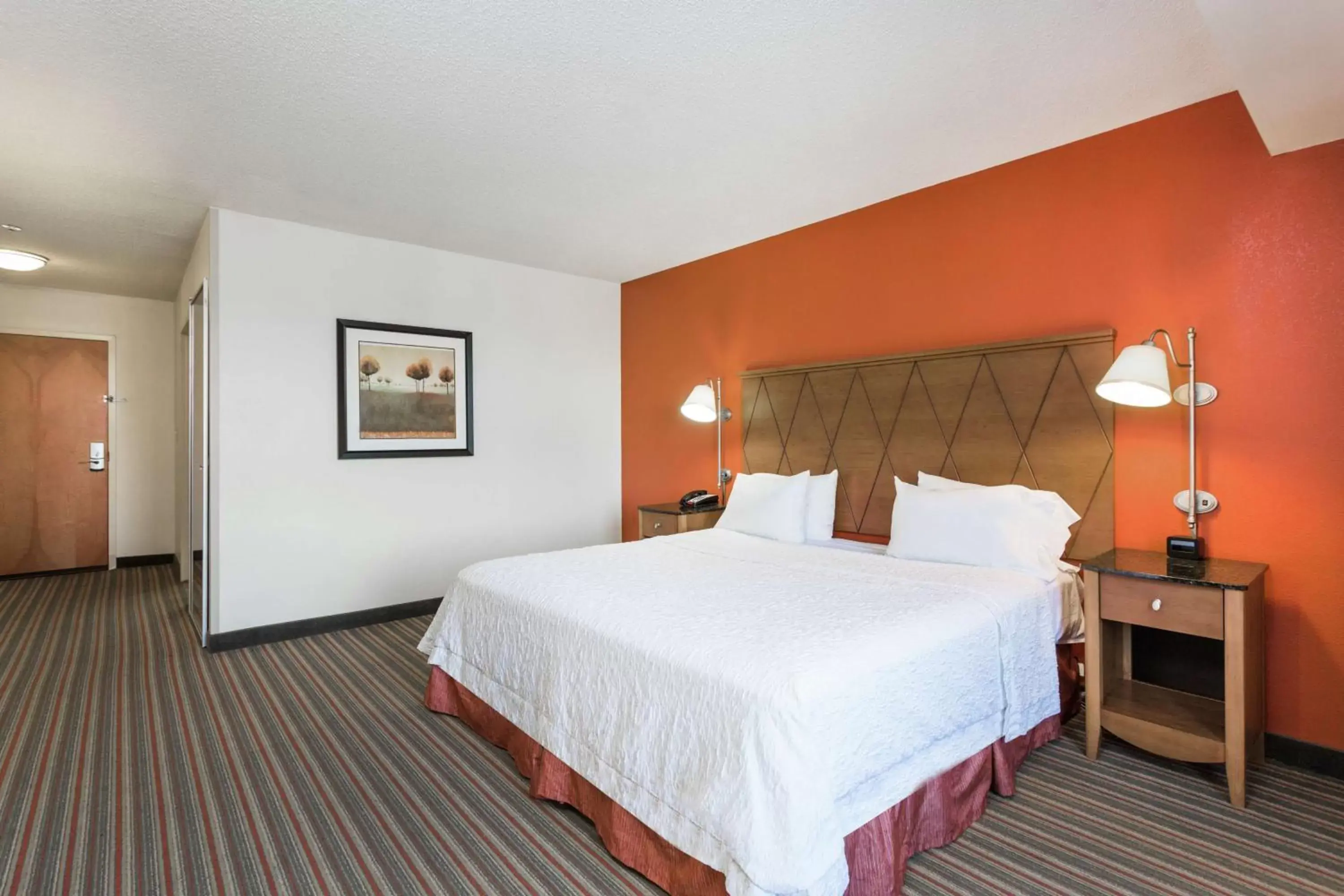 Photo of the whole room, Bed in Hampton Inn Petersburg - Southpark Mall