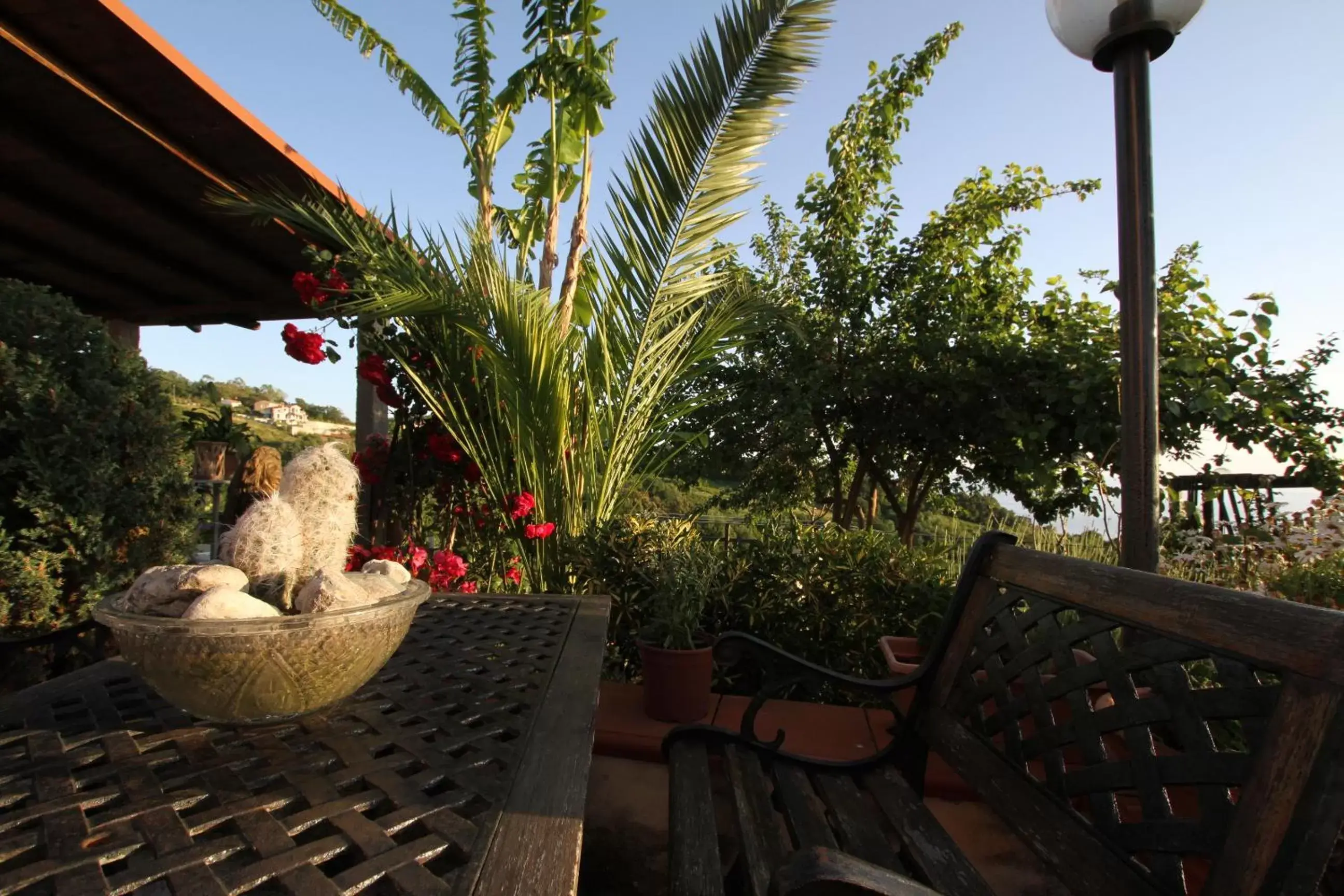 Balcony/Terrace in B&B la Sirenetta