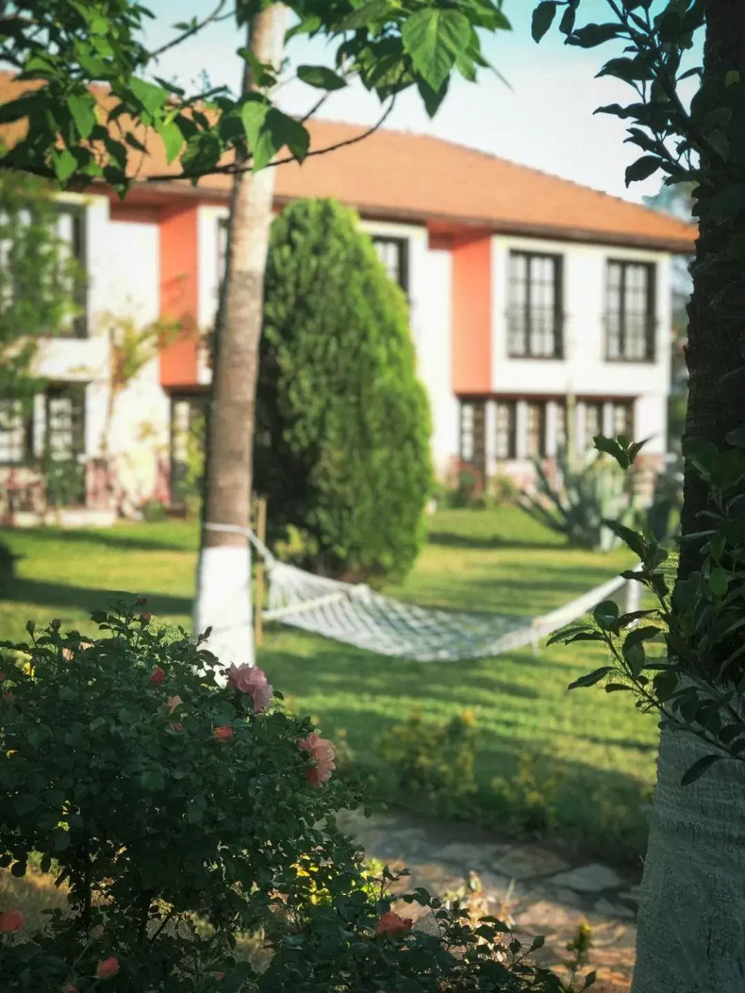 Garden view, Garden in Hotel Palme Dalyan