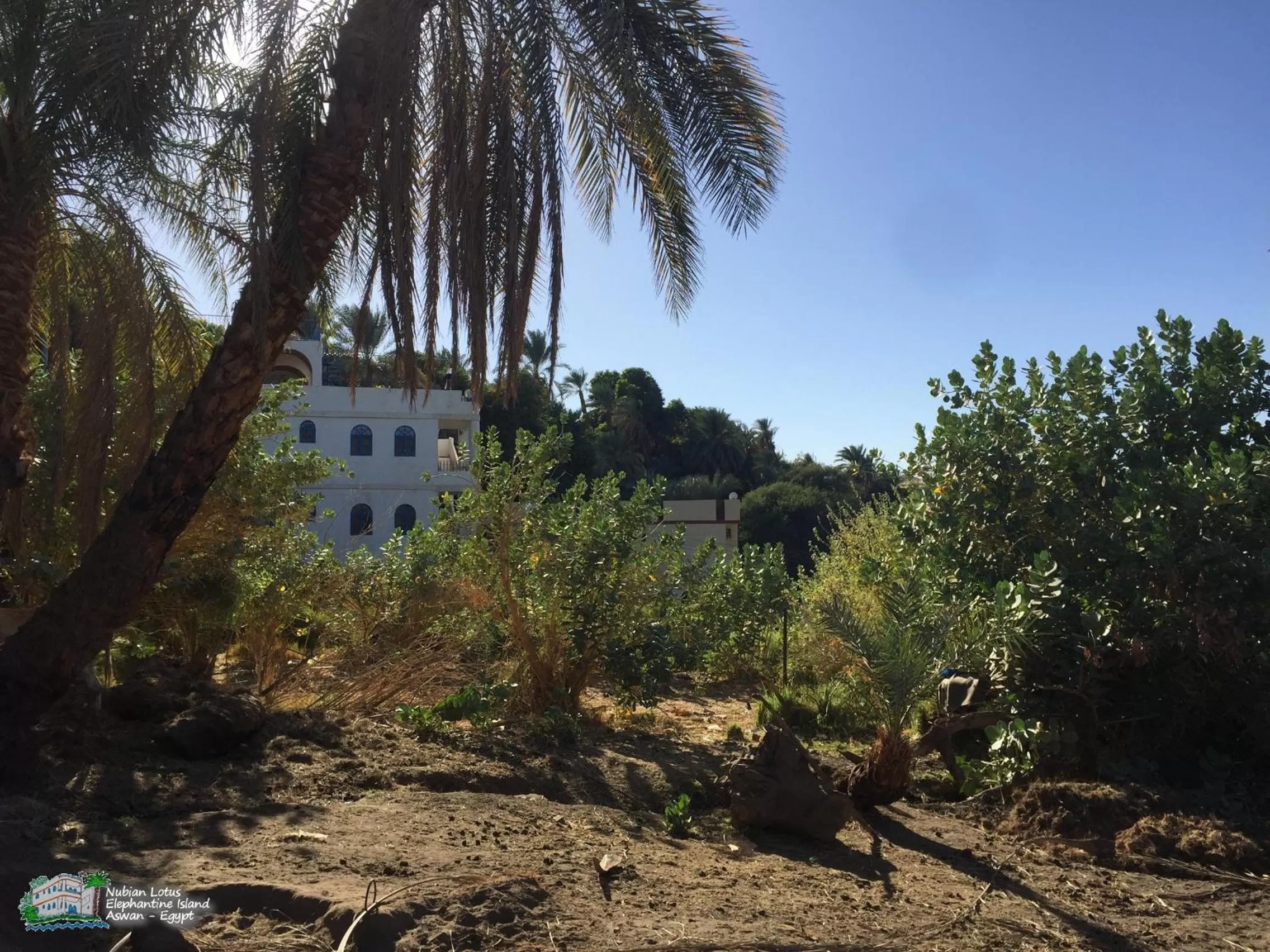 Property Building in Nubian Lotus