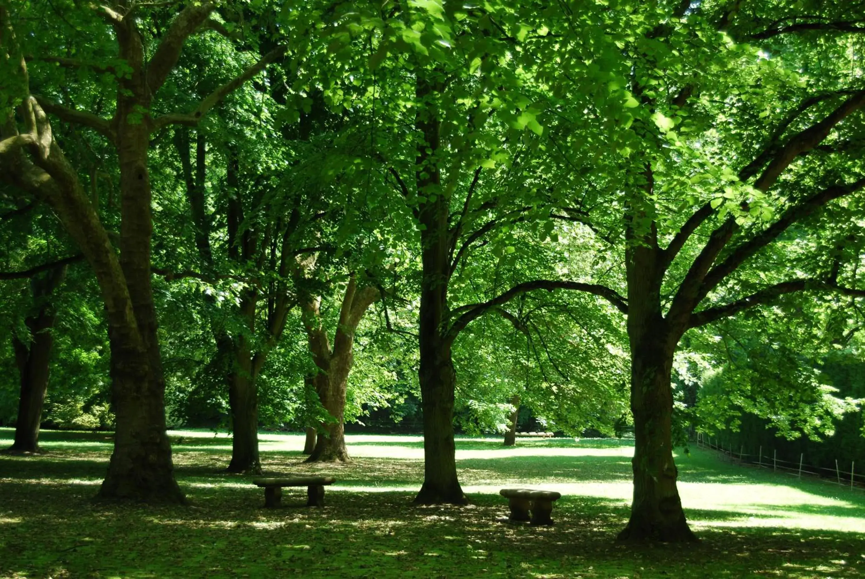 Garden in Le Château de la Tour