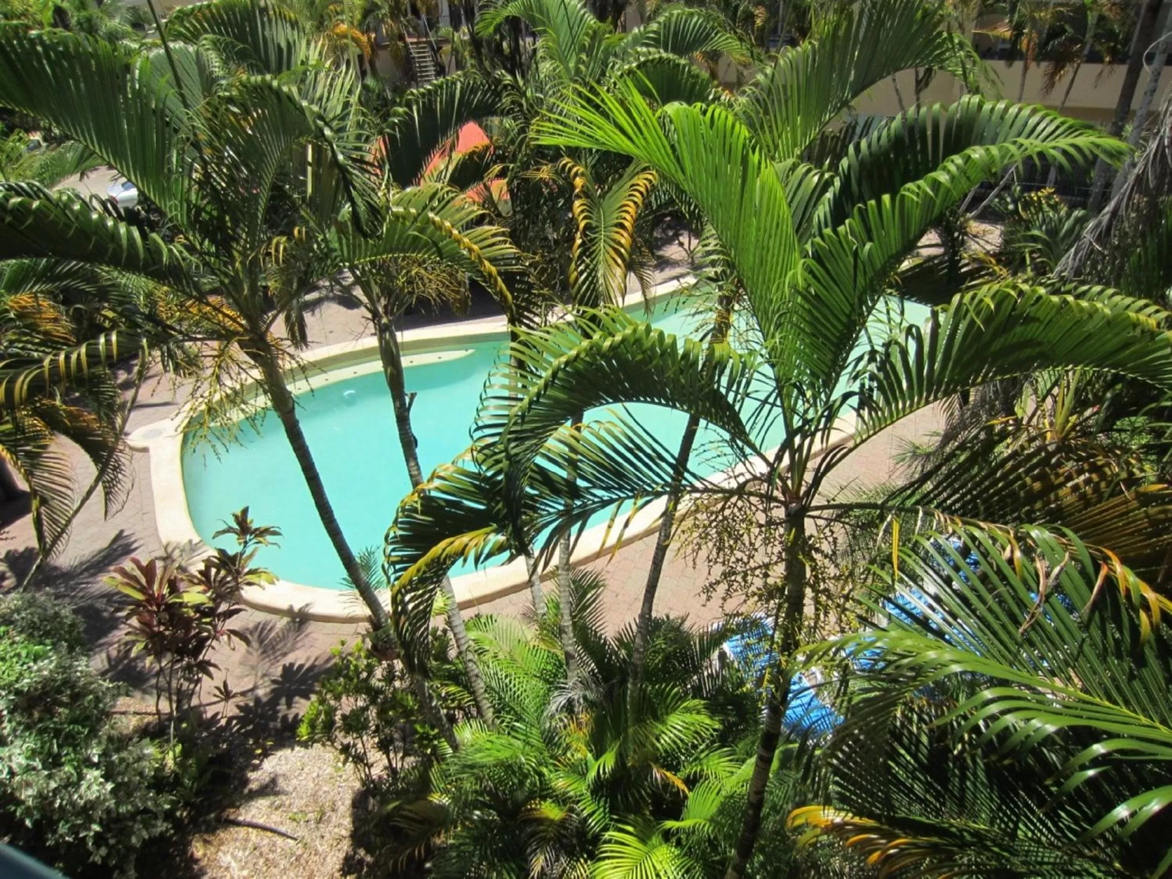 Swimming pool in Tradewinds McLeod Holiday Apartments