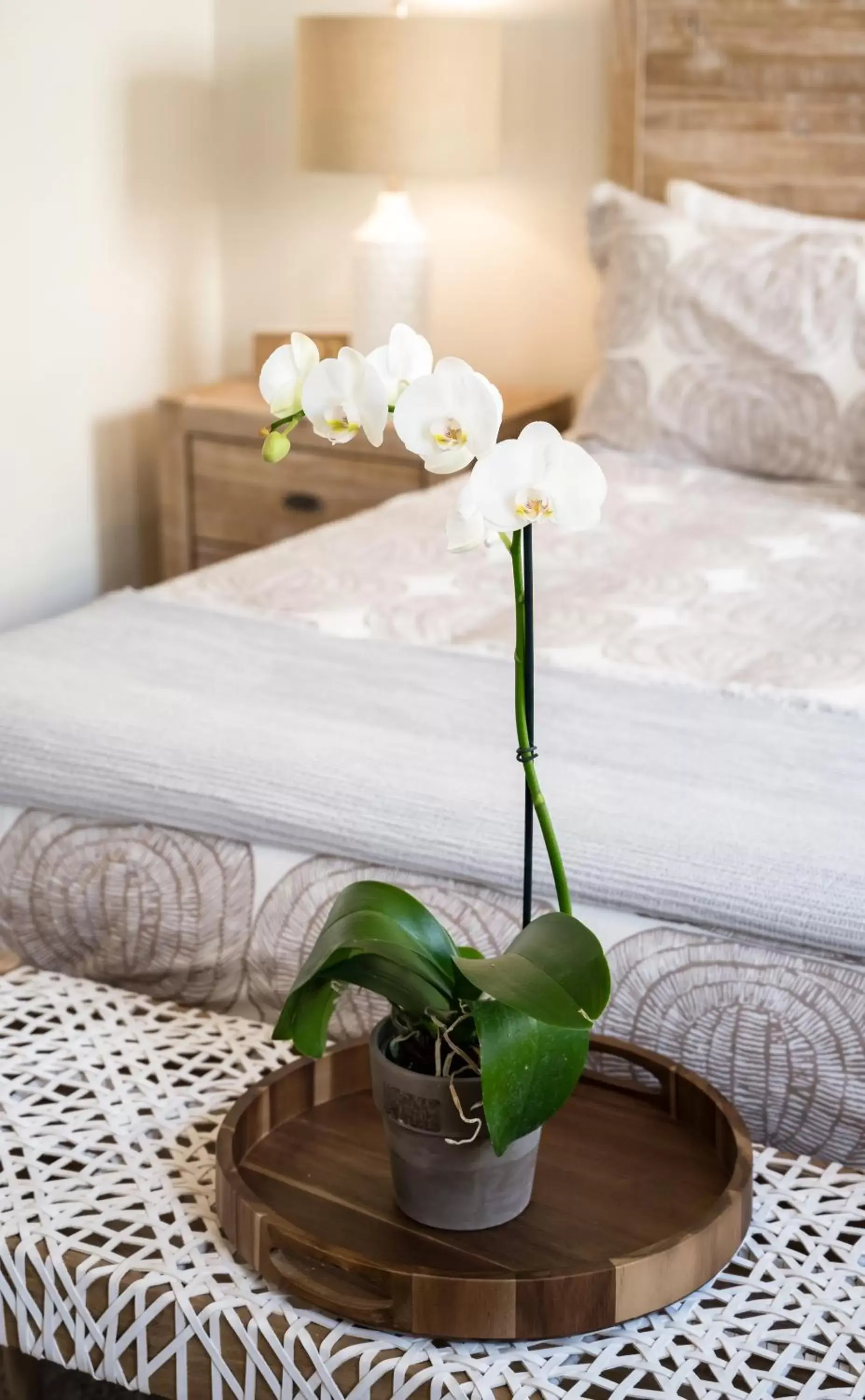 Decorative detail, Bed in Tropicals of Palm Beach