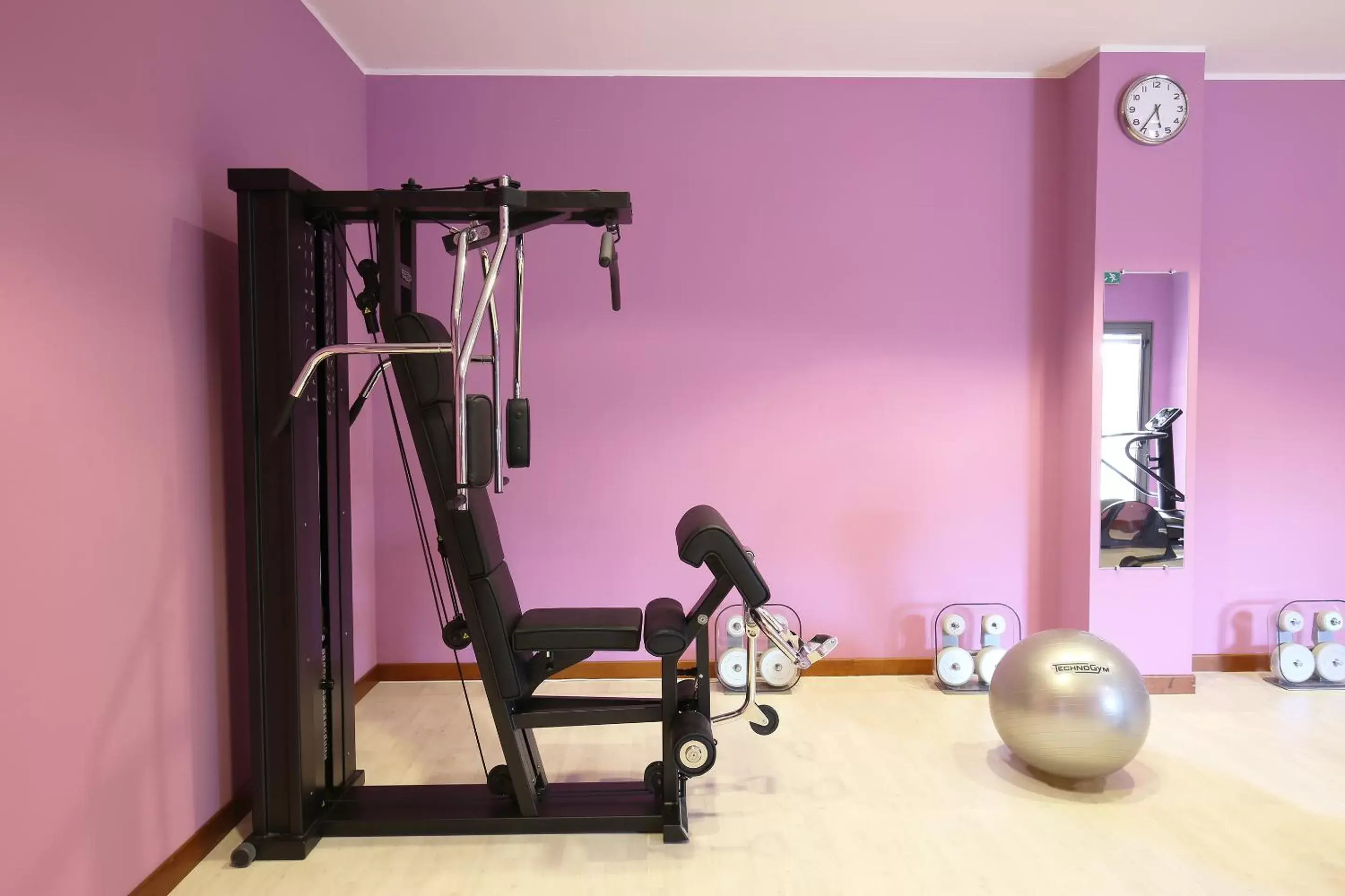 Fitness centre/facilities, Fitness Center/Facilities in Mercure Genova San Biagio
