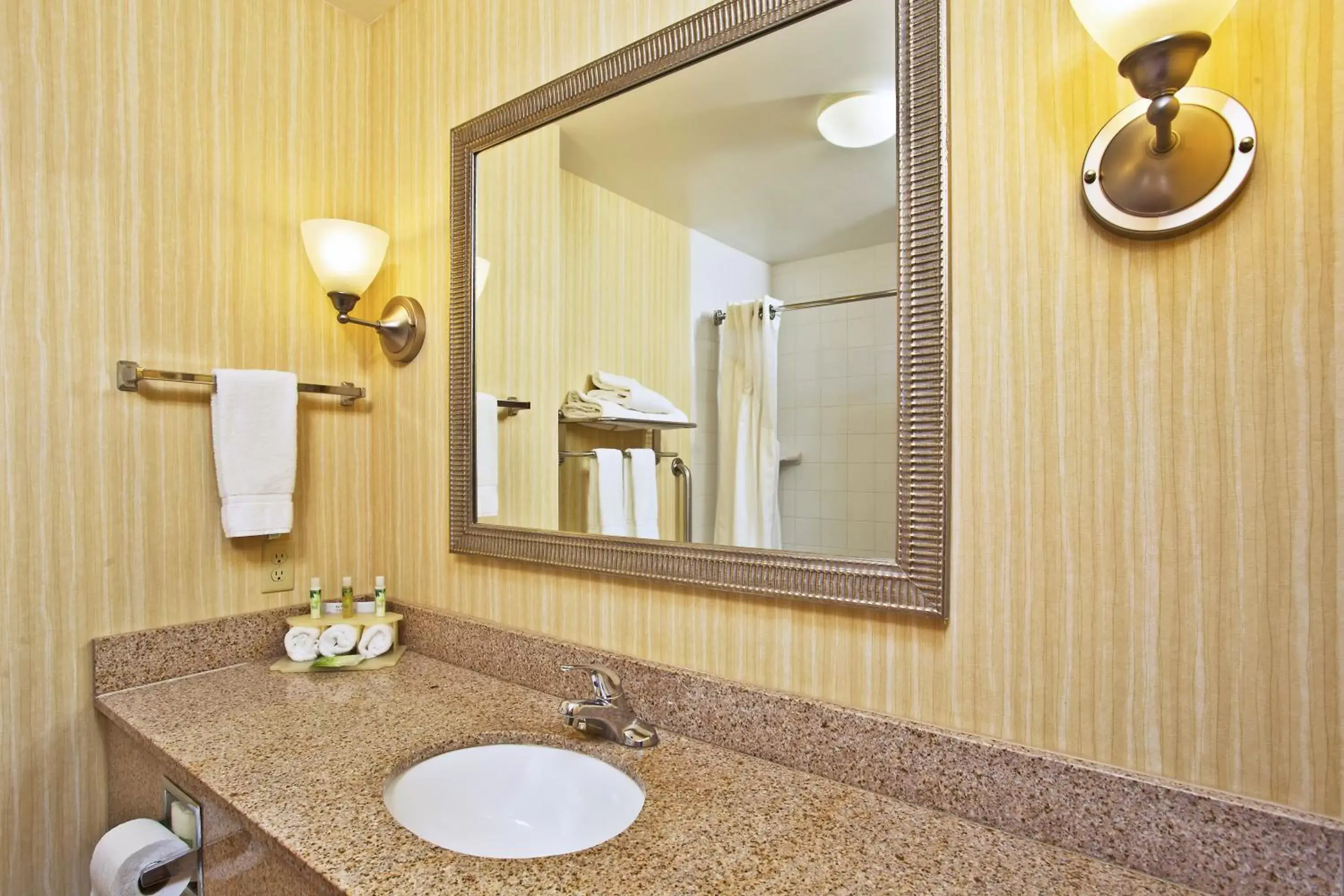 Bathroom in Holiday Inn Express Hotel & Suites Anderson, an IHG Hotel