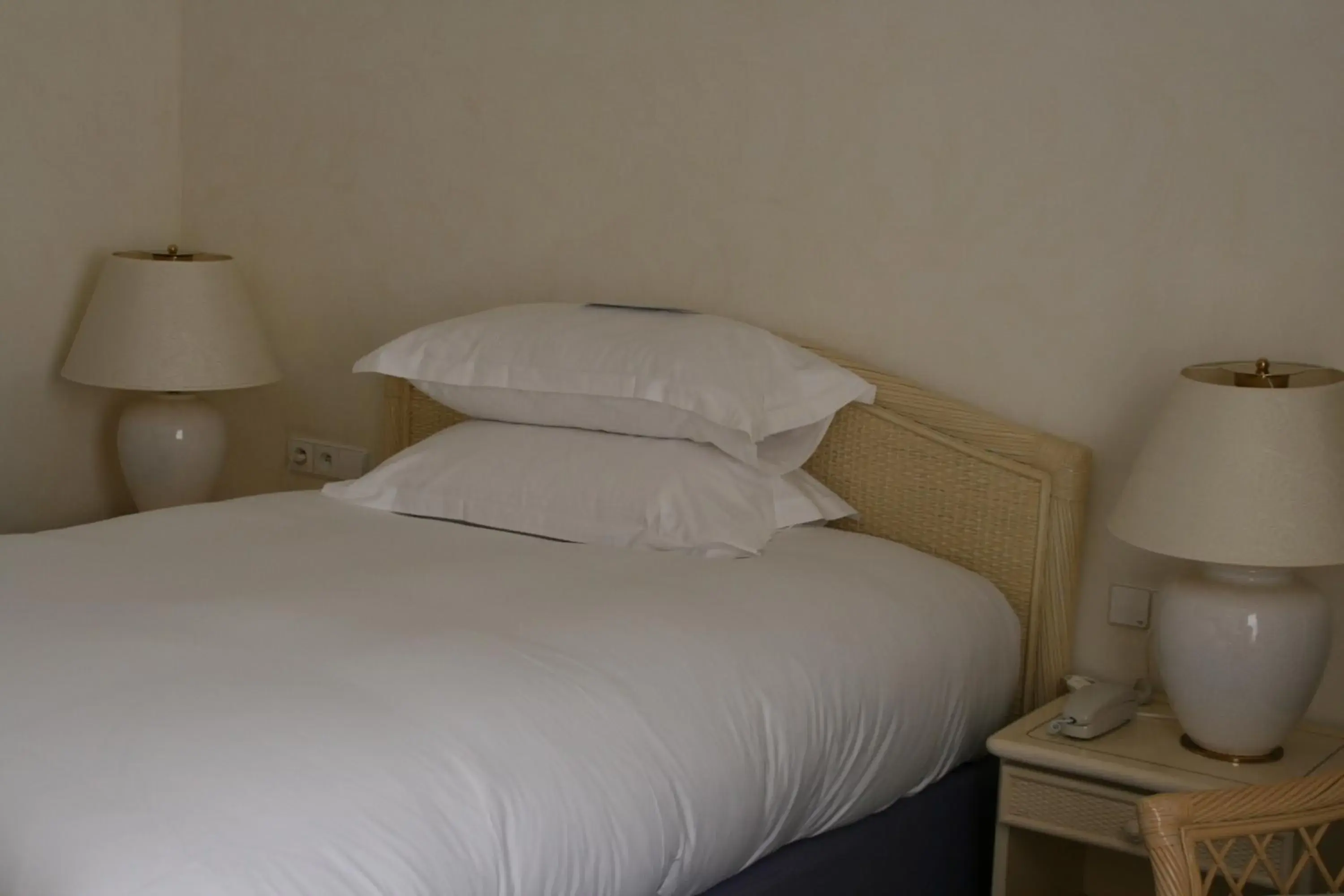 Standard Single Room in Vichy Spa Hotel Les Celestins